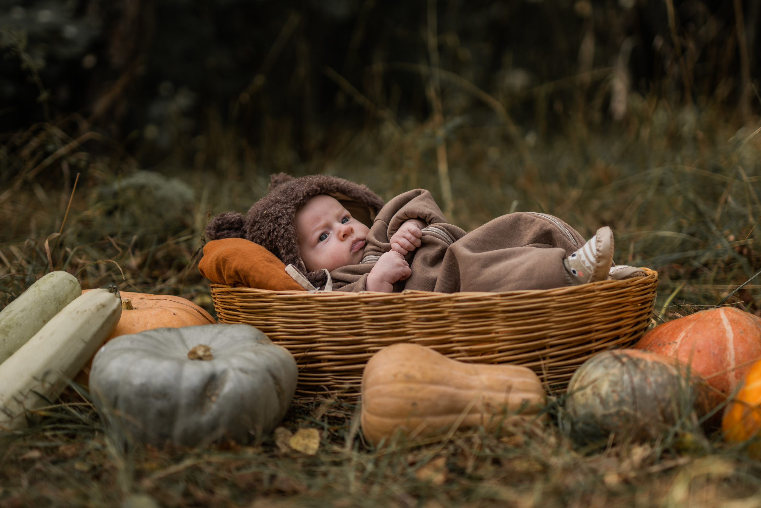 Овощная история. Семейный фотограф Ефремова Виктория