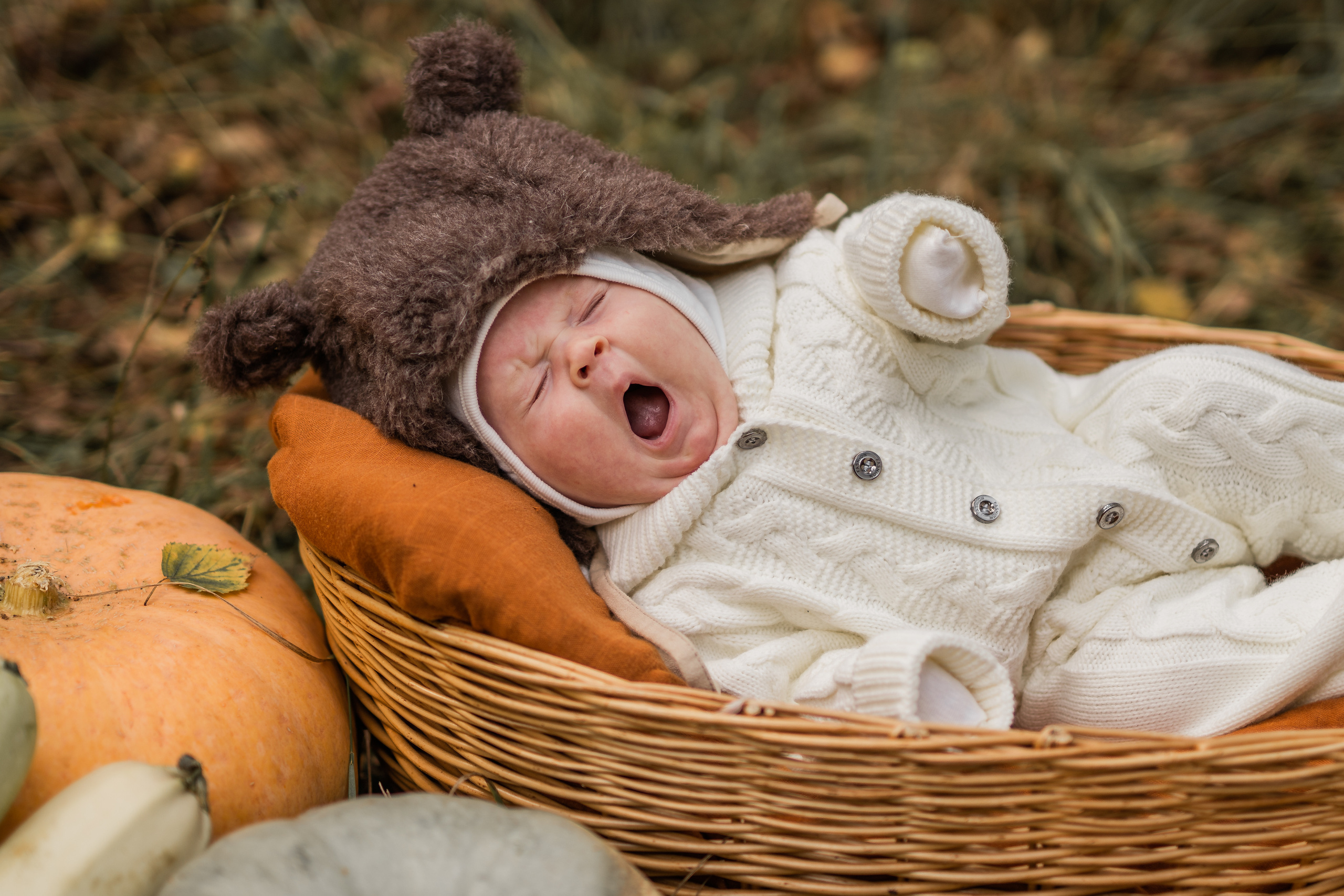 Овощная история. Семейный фотограф Ефремова Виктория