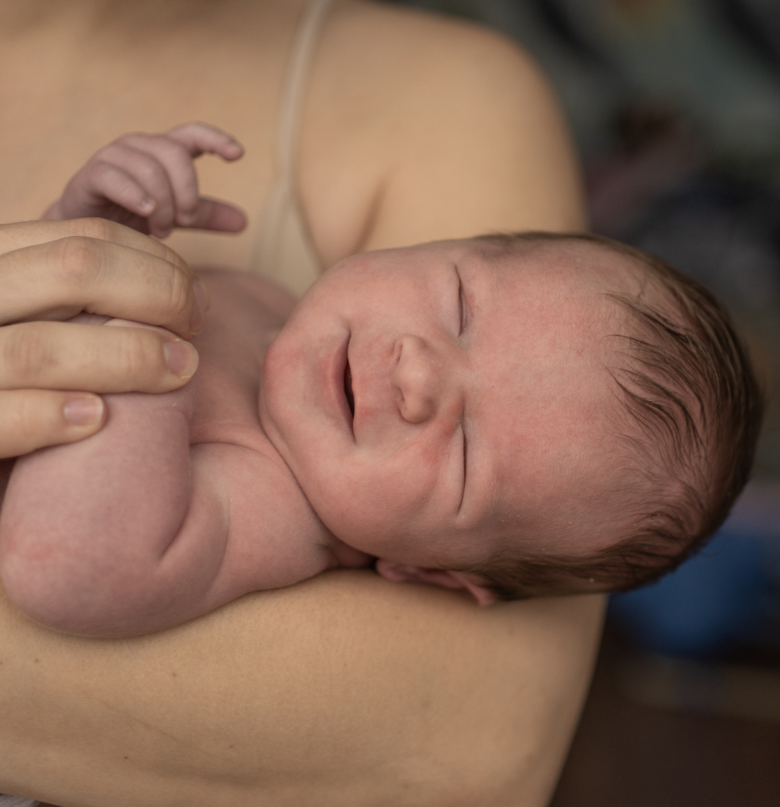 Лёва. Семейный фотограф Ефремова Виктория