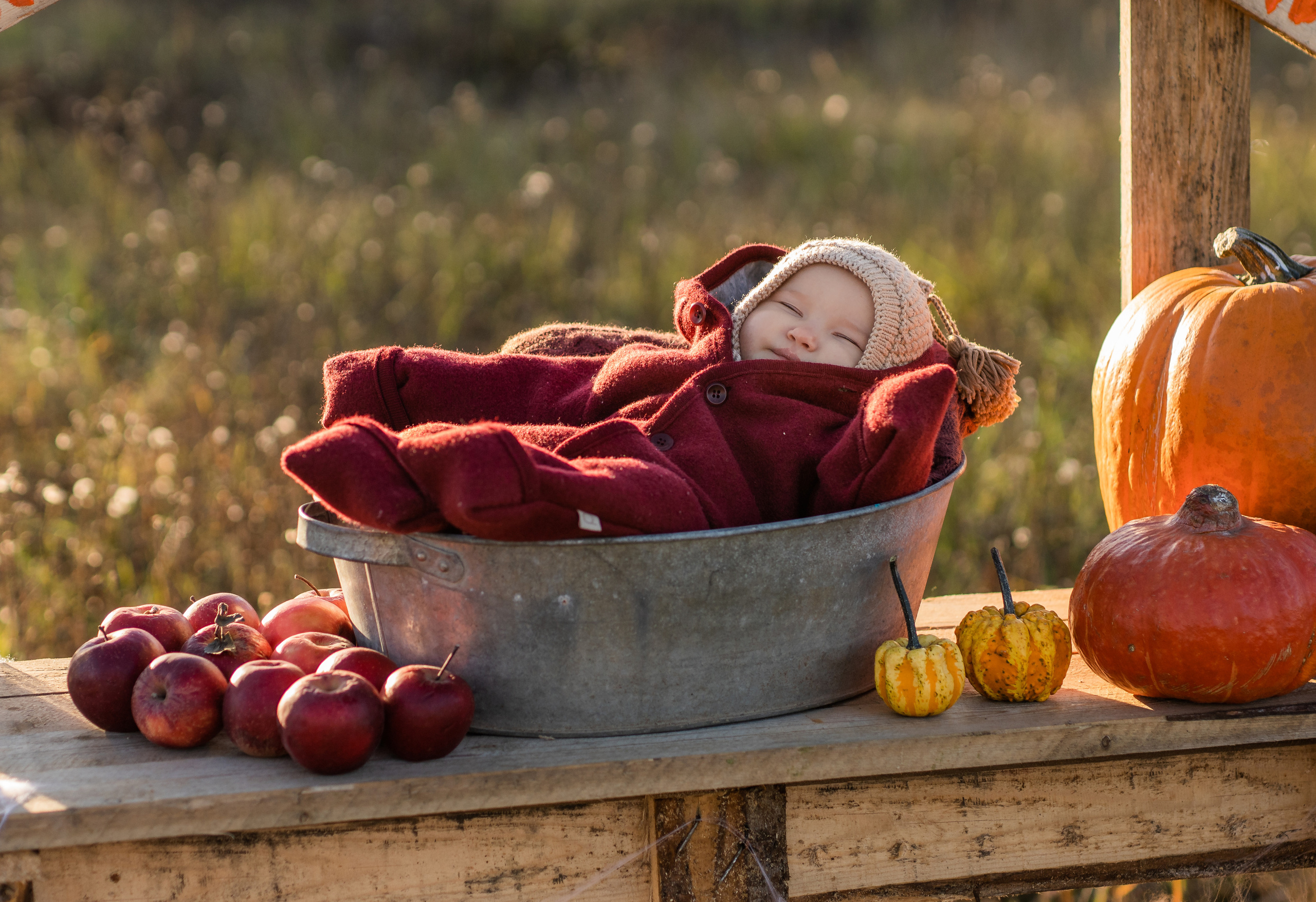 Продавец тыкв. Семейный фотограф Ефремова Виктория