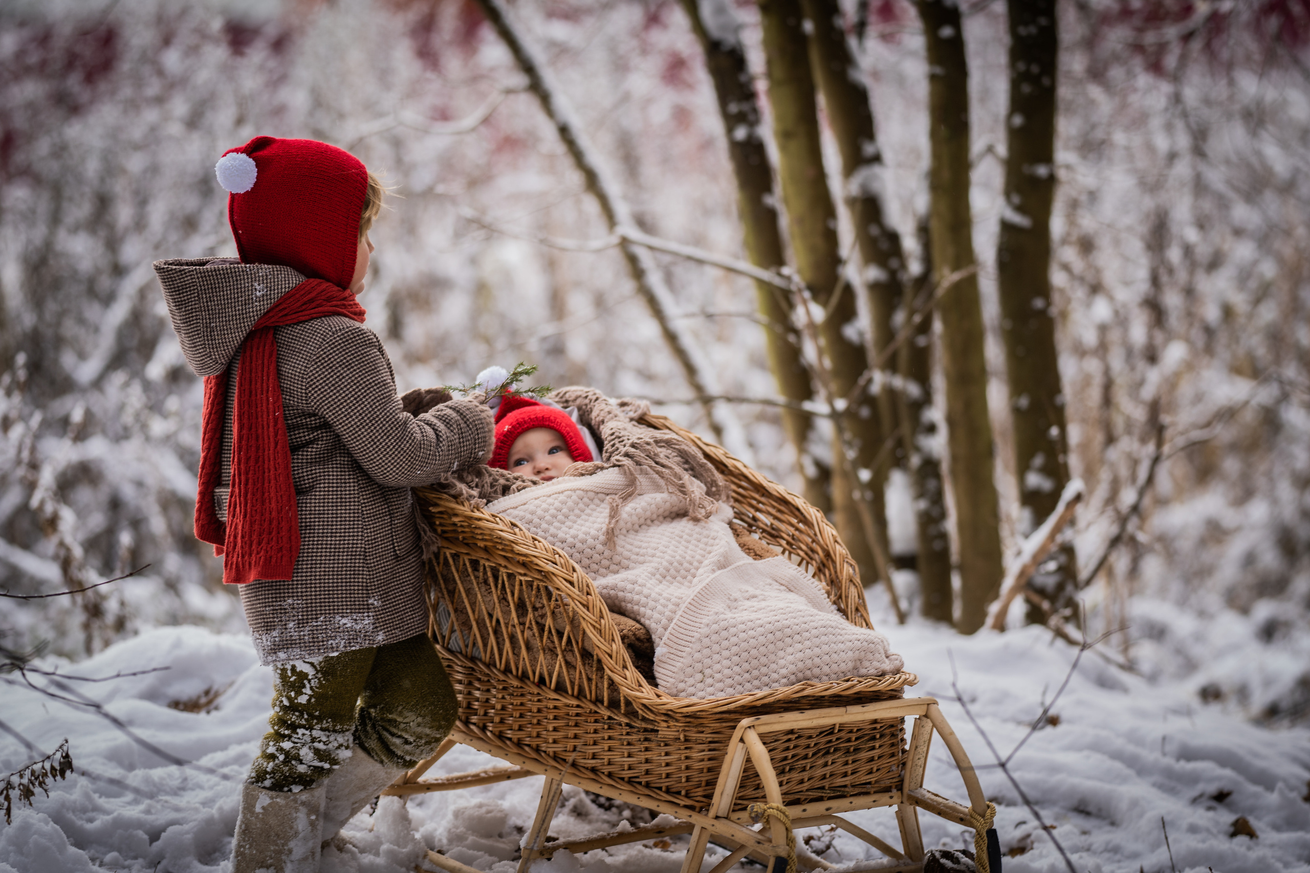 Снежная прогулка Савелия и Марфы. Семейный фотограф Ефремова Виктория
