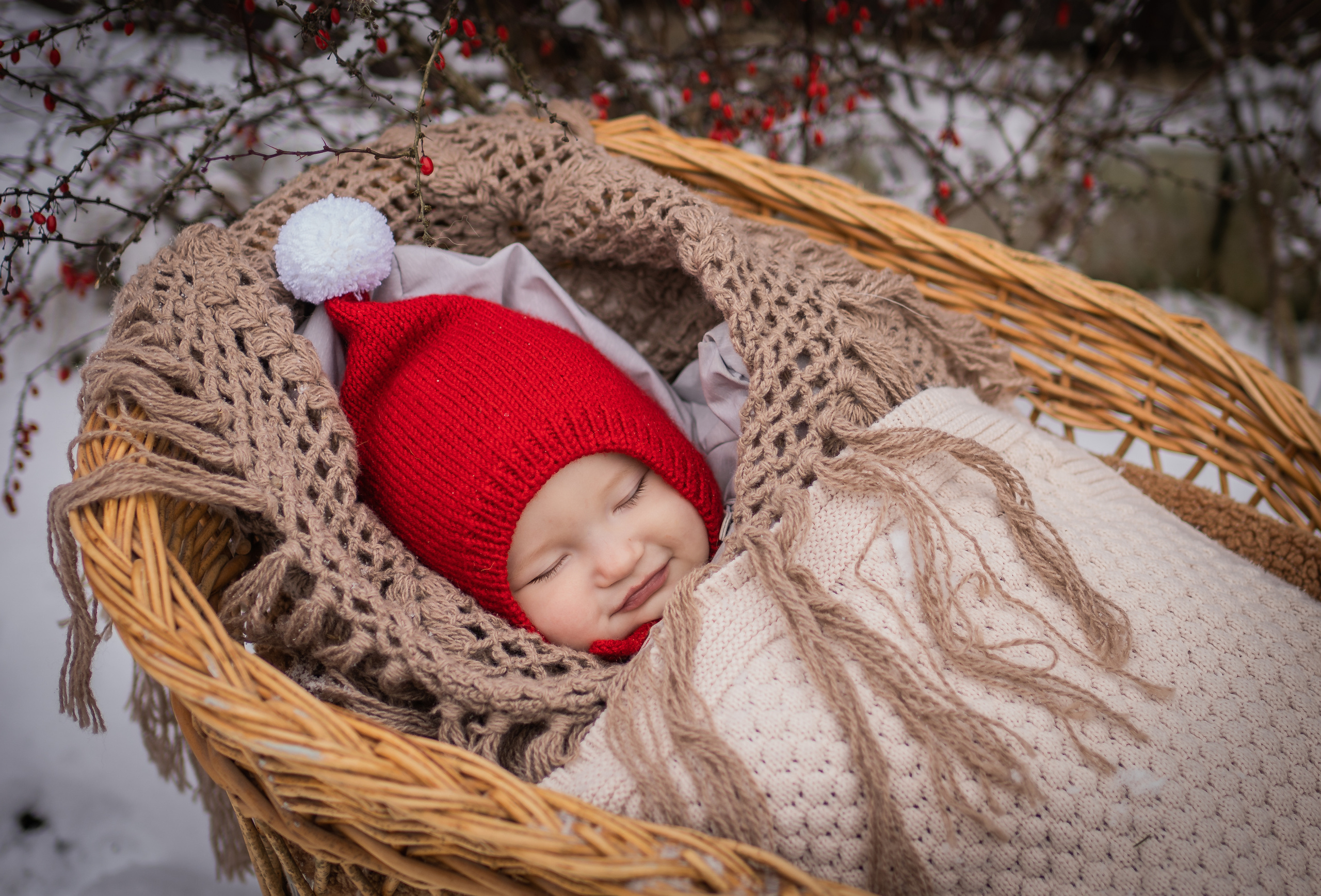 Снежная прогулка Савелия и Марфы. Семейный фотограф Ефремова Виктория
