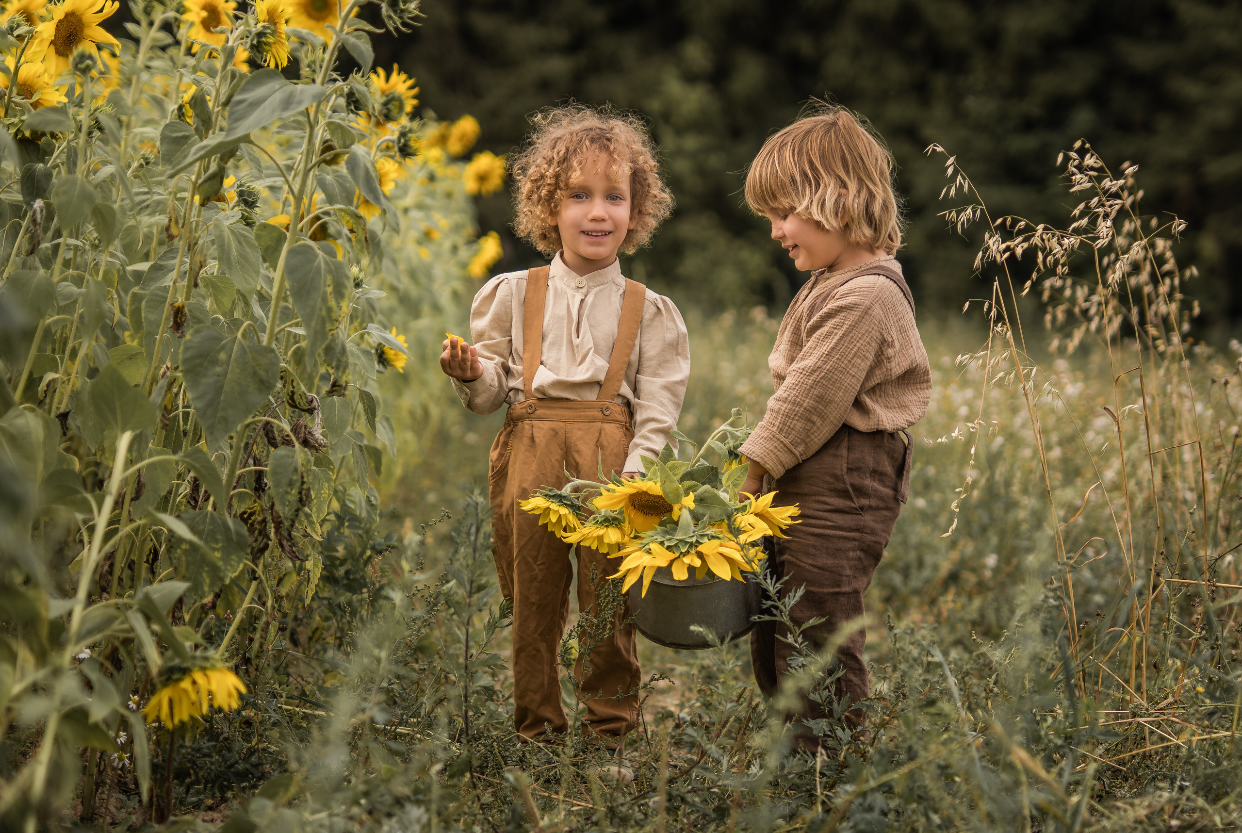 Дети в поле. Семейный фотограф Ефремова Виктория
