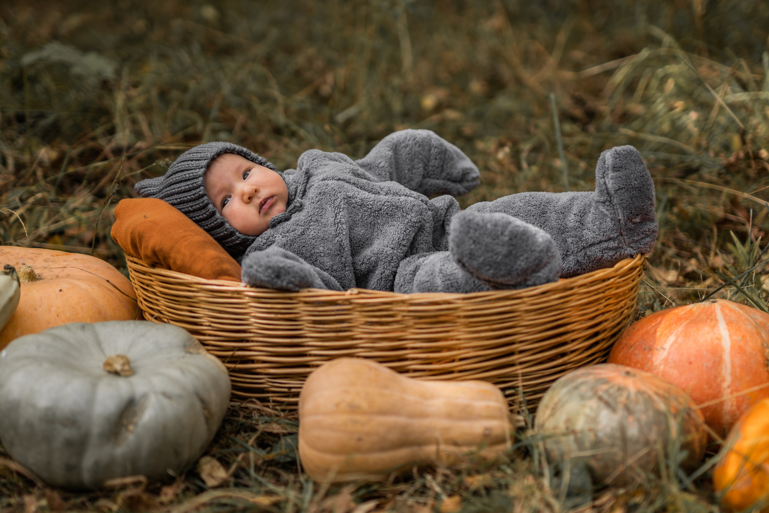 Овощная история. Семейный фотограф Ефремова Виктория