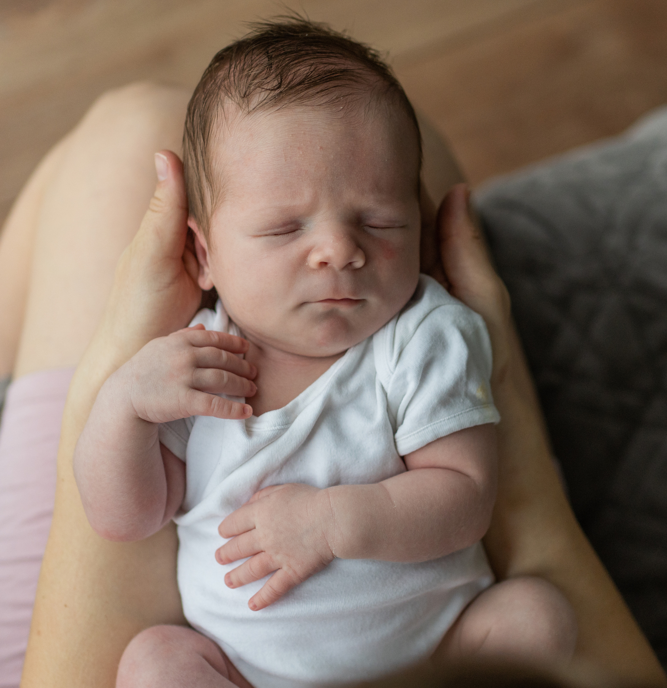 Лёва. Семейный фотограф Ефремова Виктория