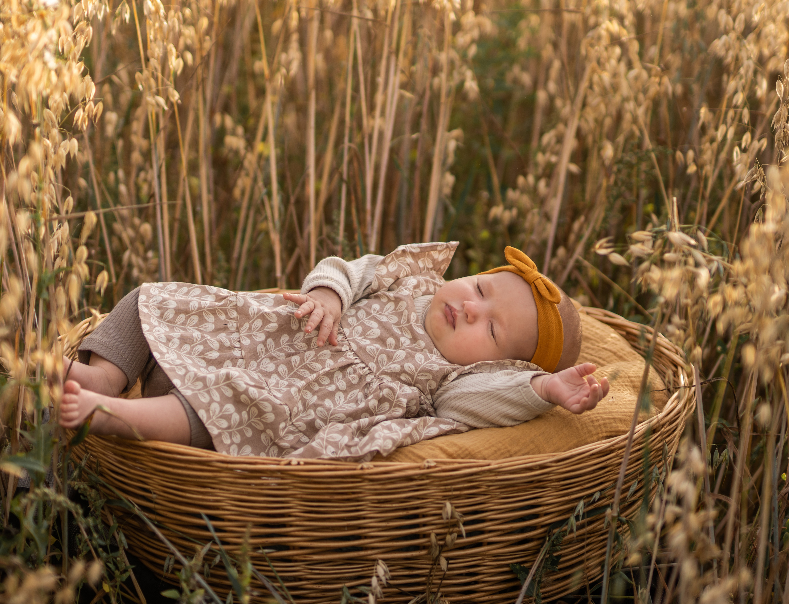 Дети в поле. Семейный фотограф Ефремова Виктория