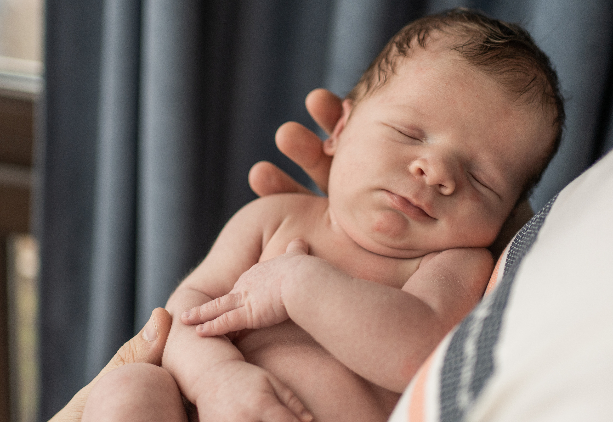 Лёва. Семейный фотограф Ефремова Виктория