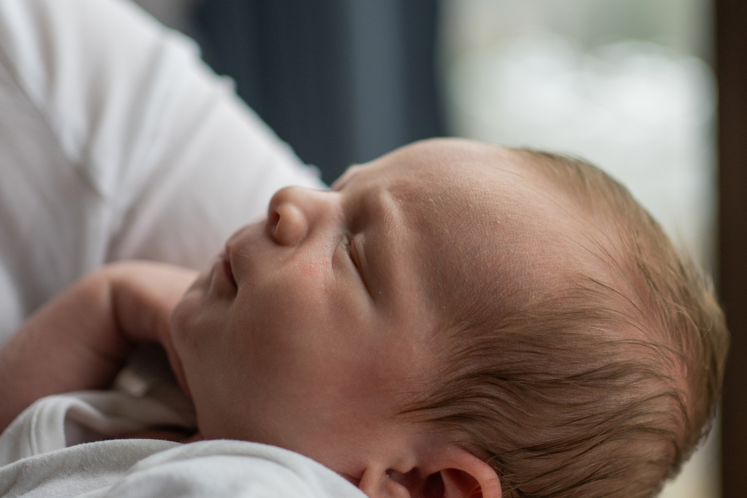 Лёва. Семейный фотограф Ефремова Виктория
