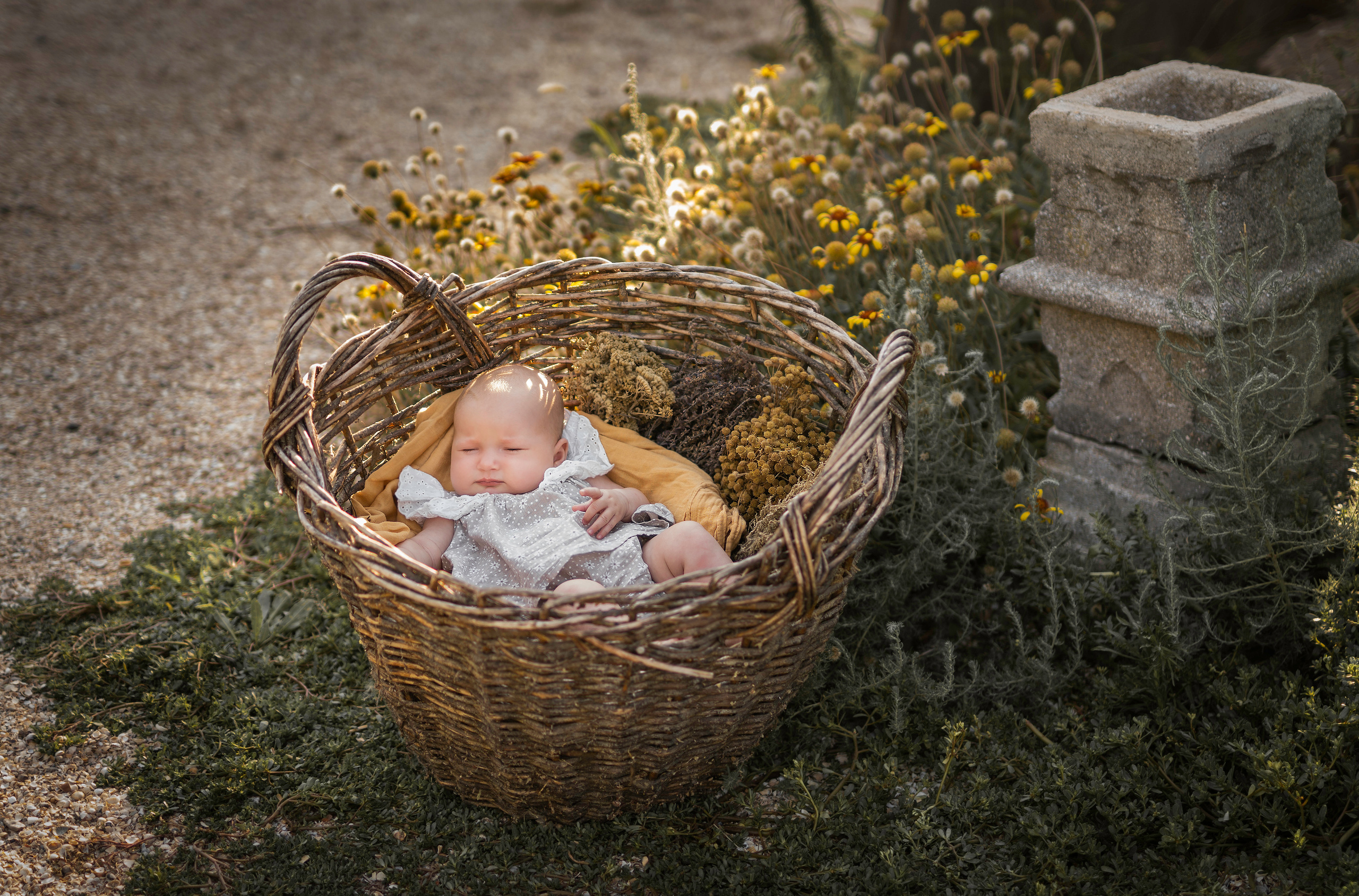 Должанская, август 2022. Семейный фотограф Ефремова Виктория