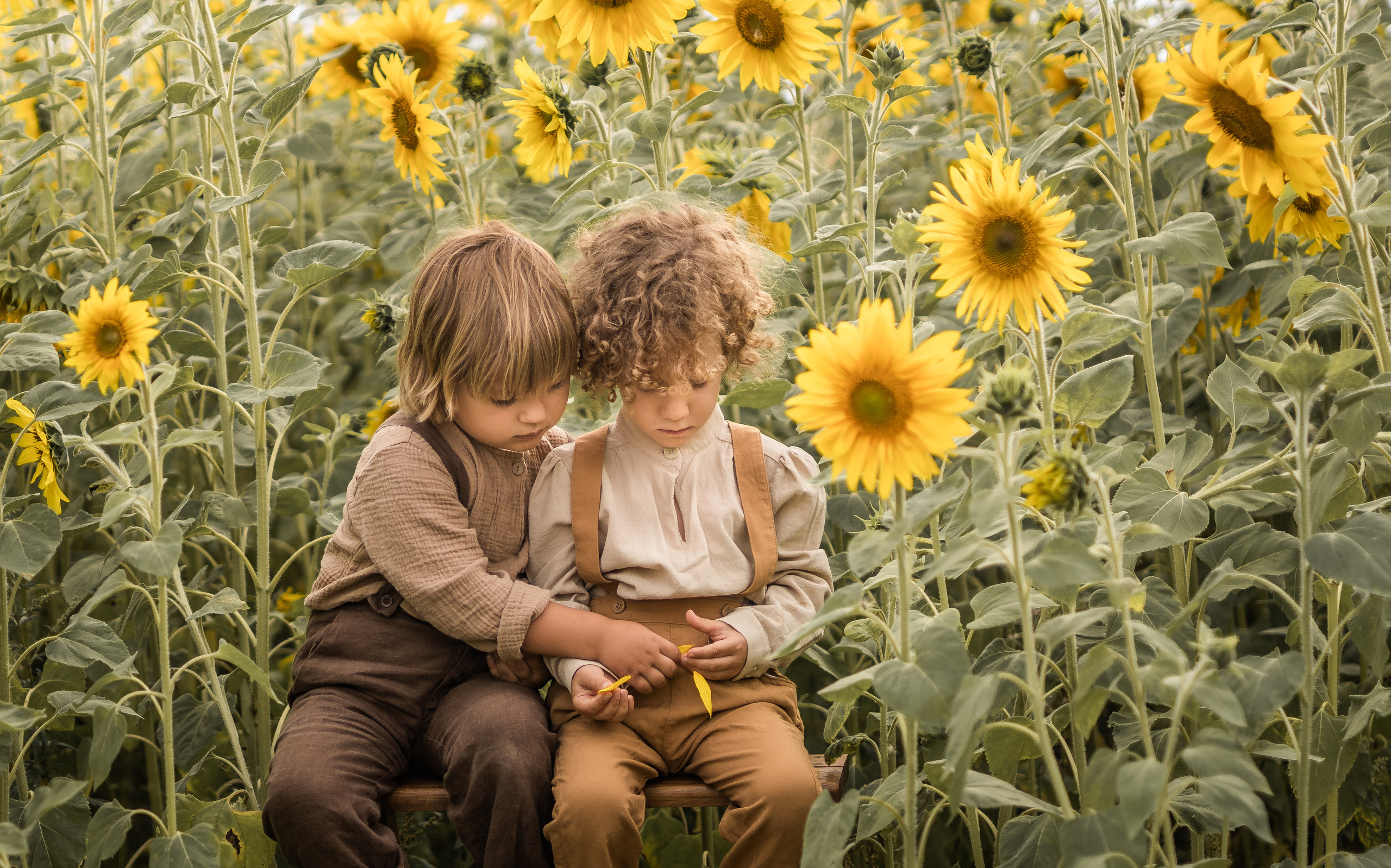 Дети в поле. Семейный фотограф Ефремова Виктория
