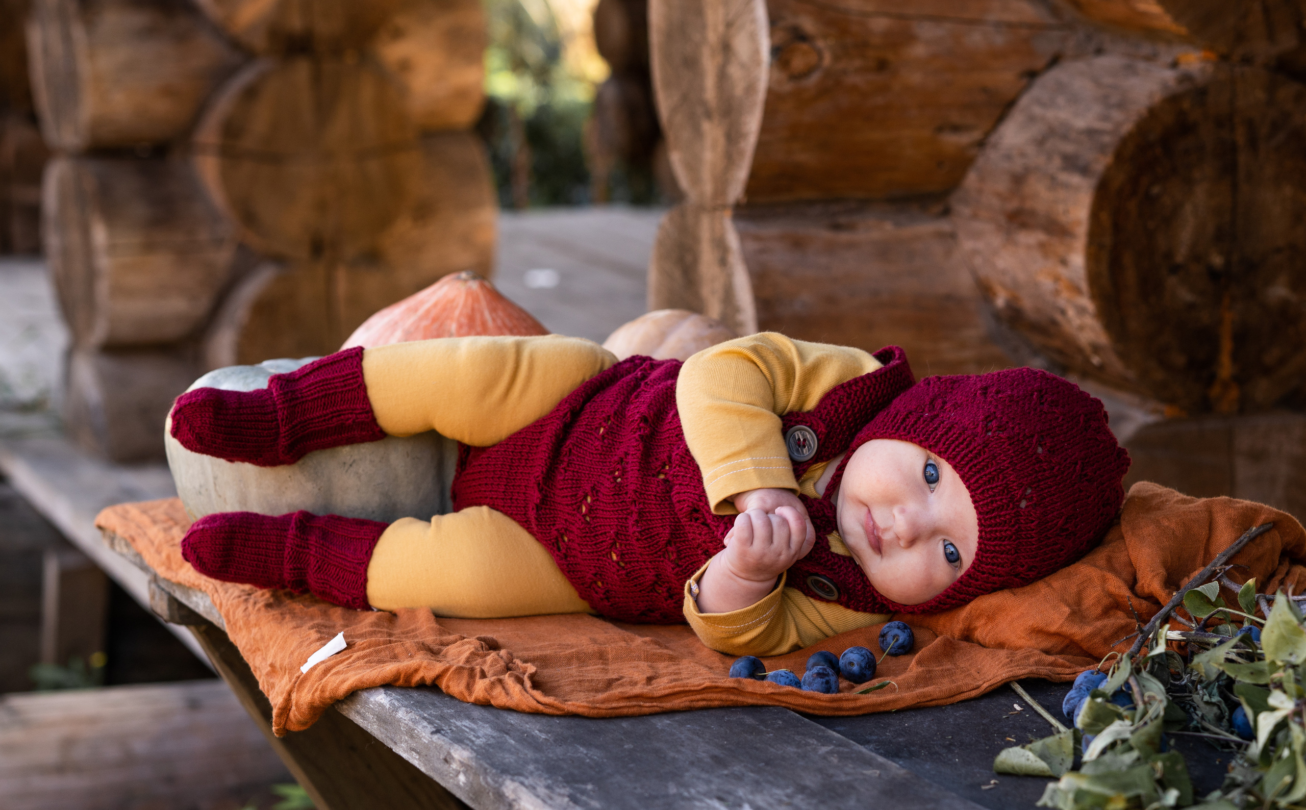 Марфа, тыквы, сентябрь. Семейный фотограф Ефремова Виктория