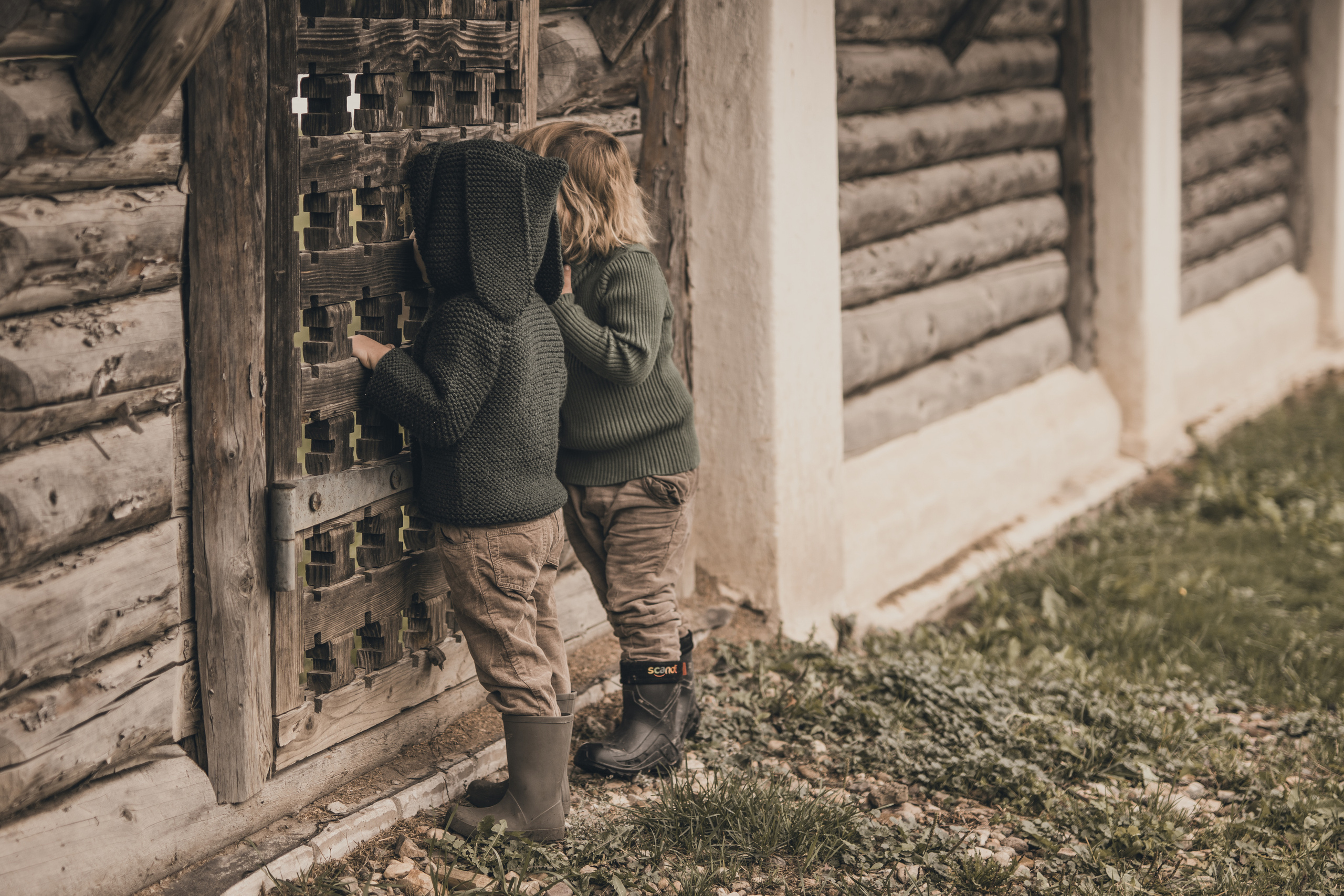 2 октября. Семейный фотограф Ефремова Виктория
