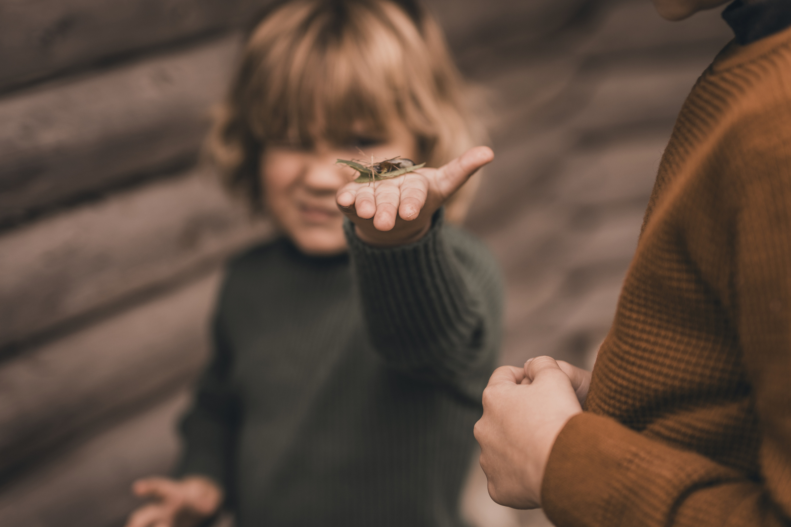 2 октября. Семейный фотограф Ефремова Виктория
