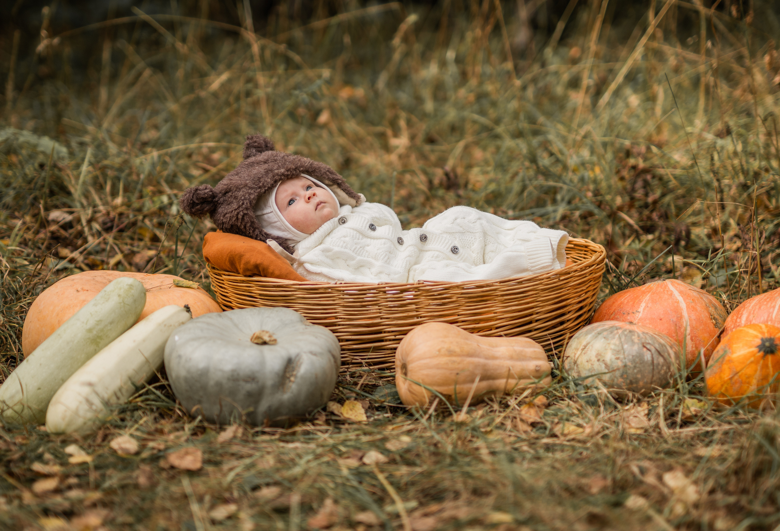 Овощная история. Семейный фотограф Ефремова Виктория