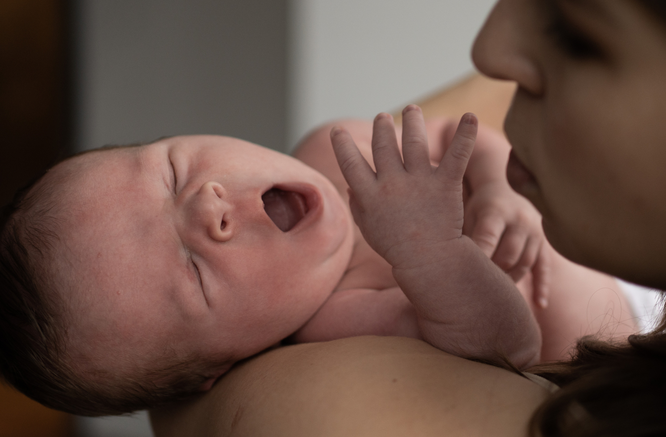 Лёва. Семейный фотограф Ефремова Виктория