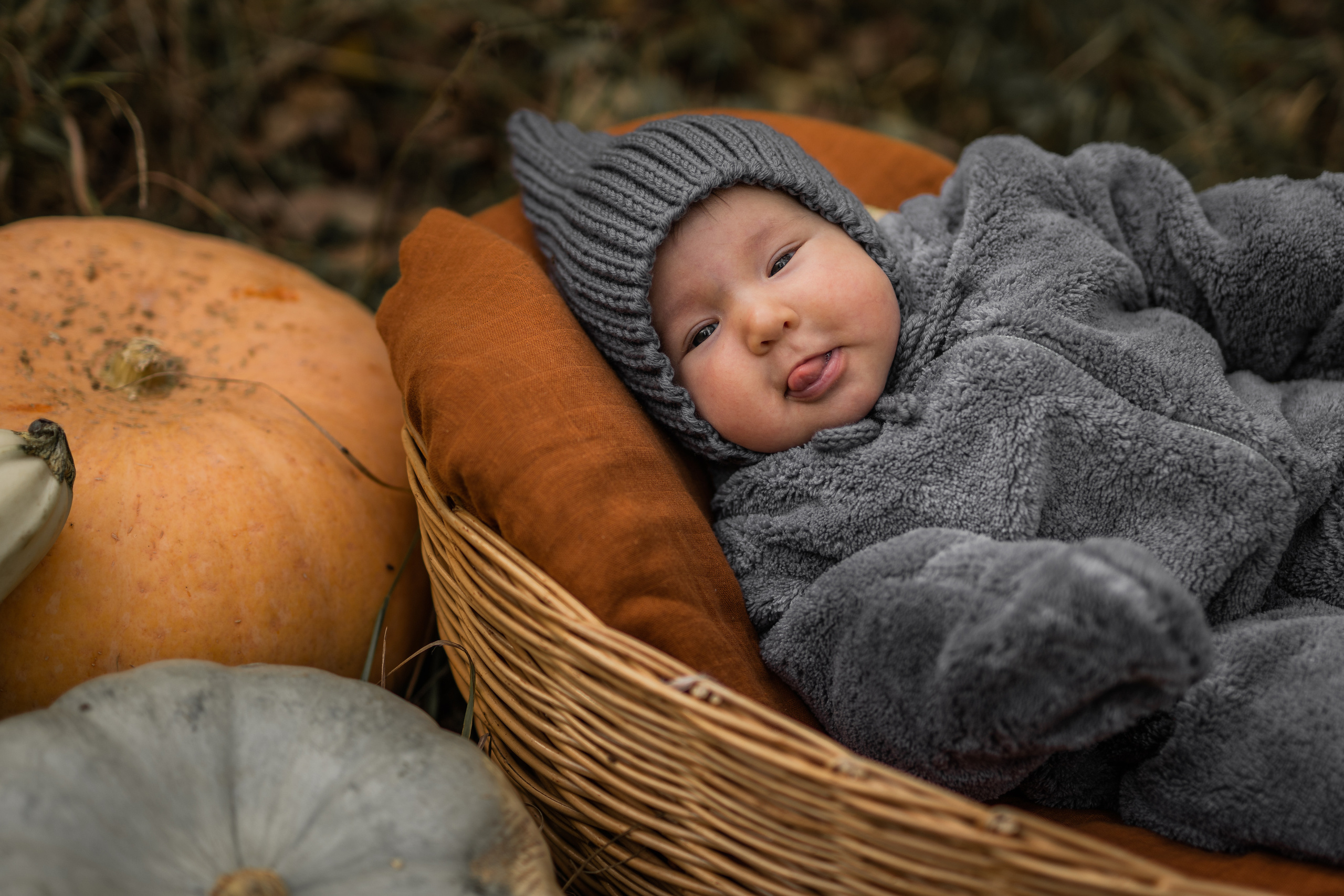 Овощная история. Семейный фотограф Ефремова Виктория