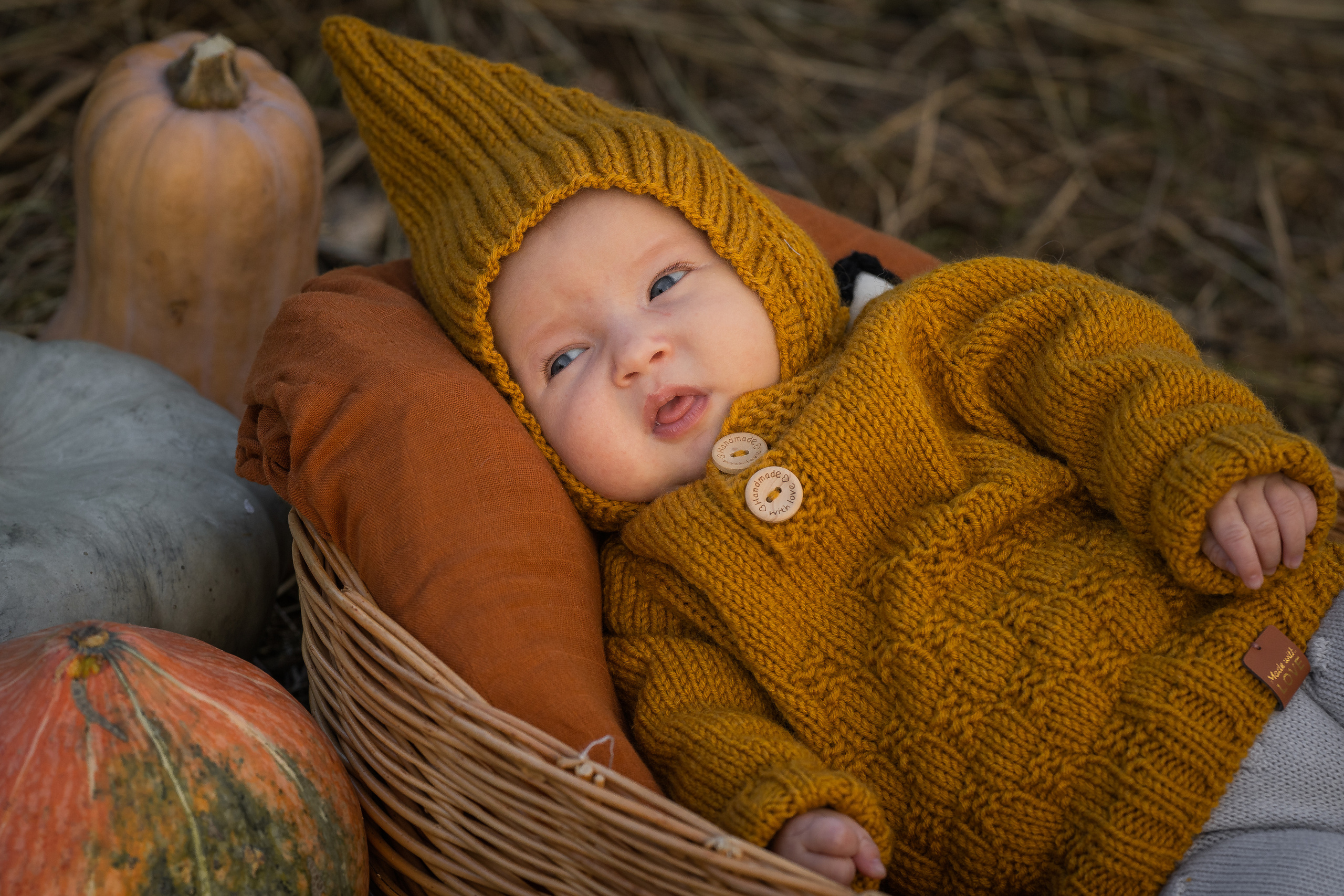 Марфа, тыквы, сентябрь. Семейный фотограф Ефремова Виктория