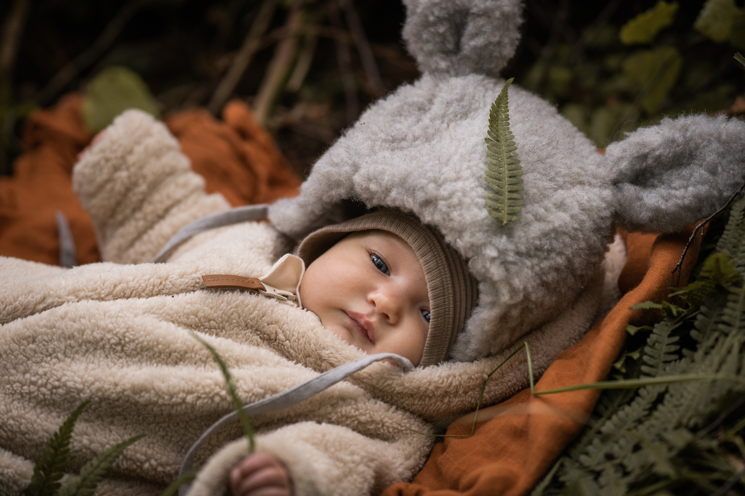 Лесные зайцы. Семейный фотограф Ефремова Виктория