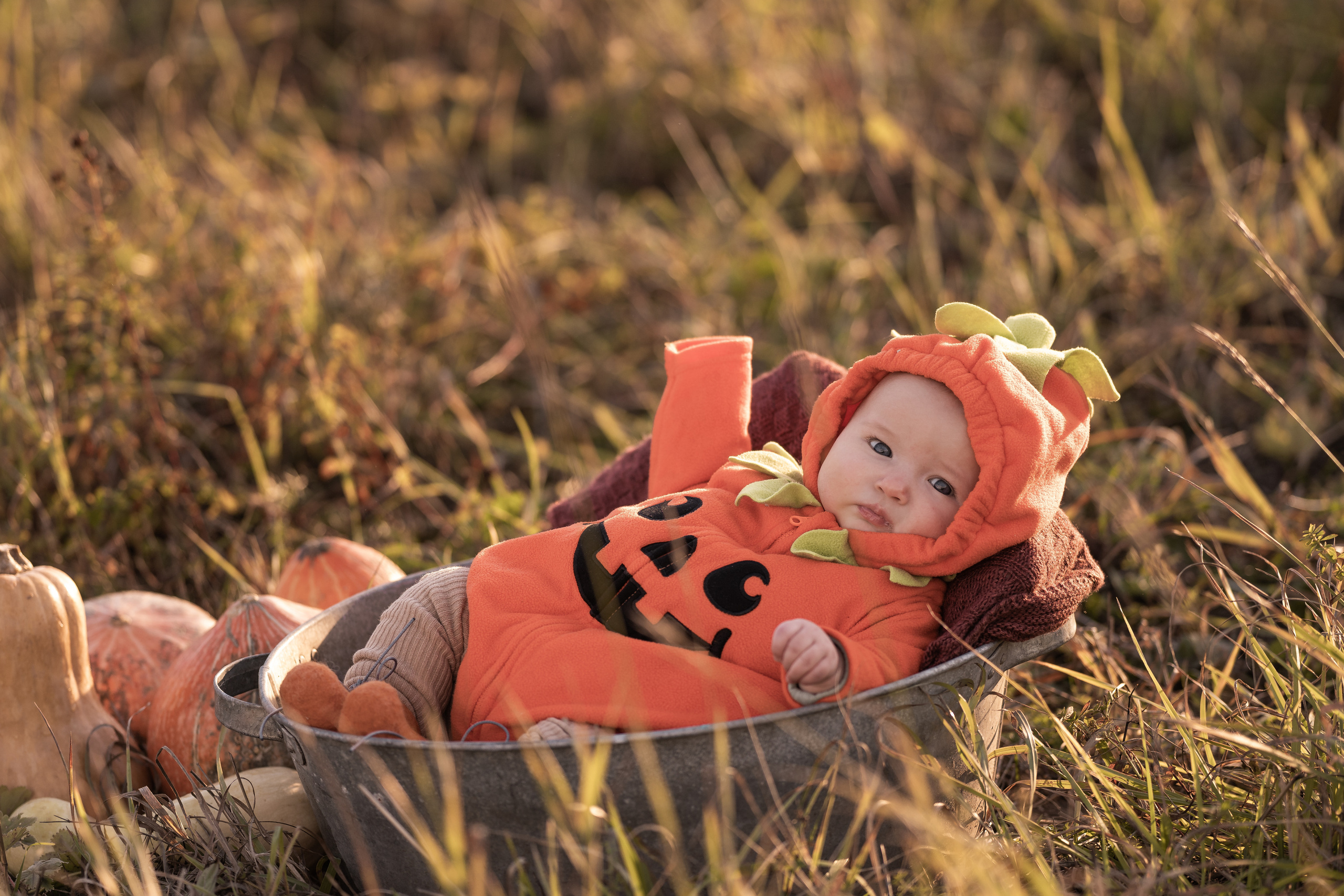 Halloween 2022. Семейный фотограф Ефремова Виктория