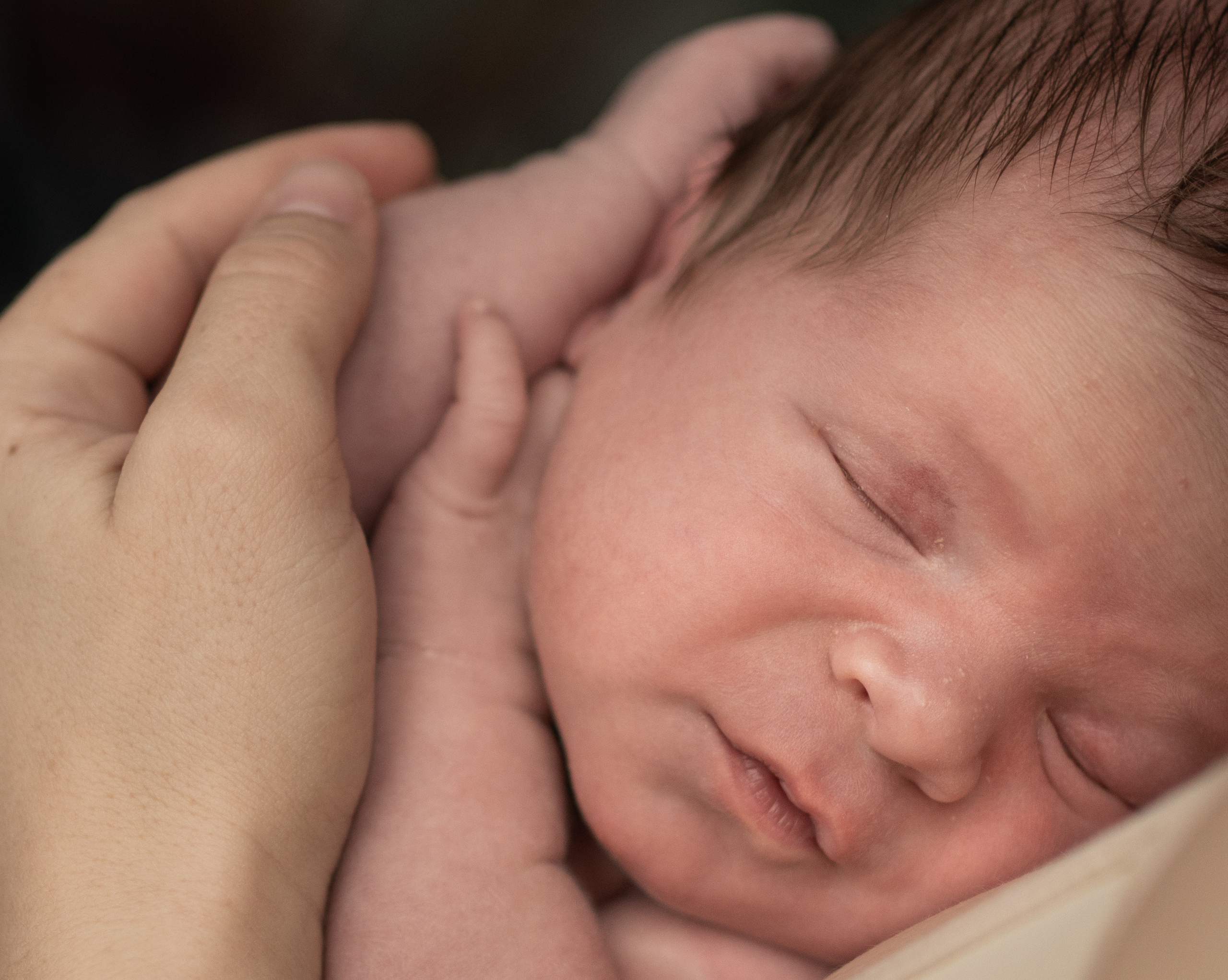 Лёва. Семейный фотограф Ефремова Виктория