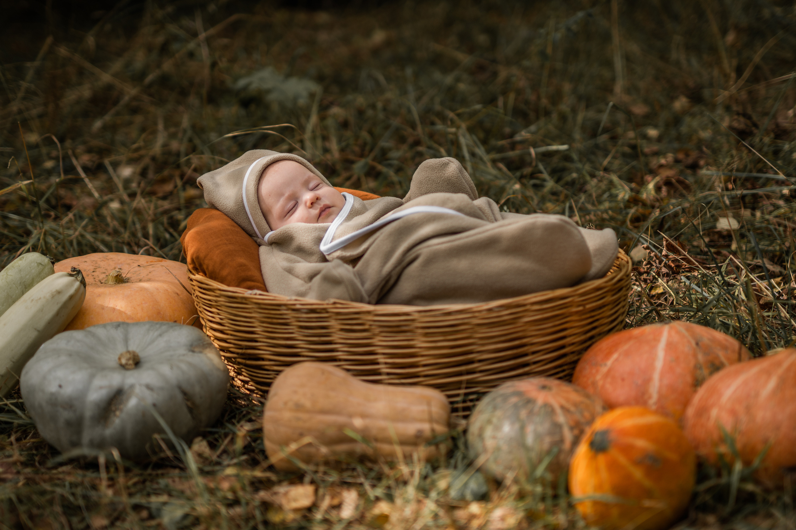 Овощная история. Семейный фотограф Ефремова Виктория