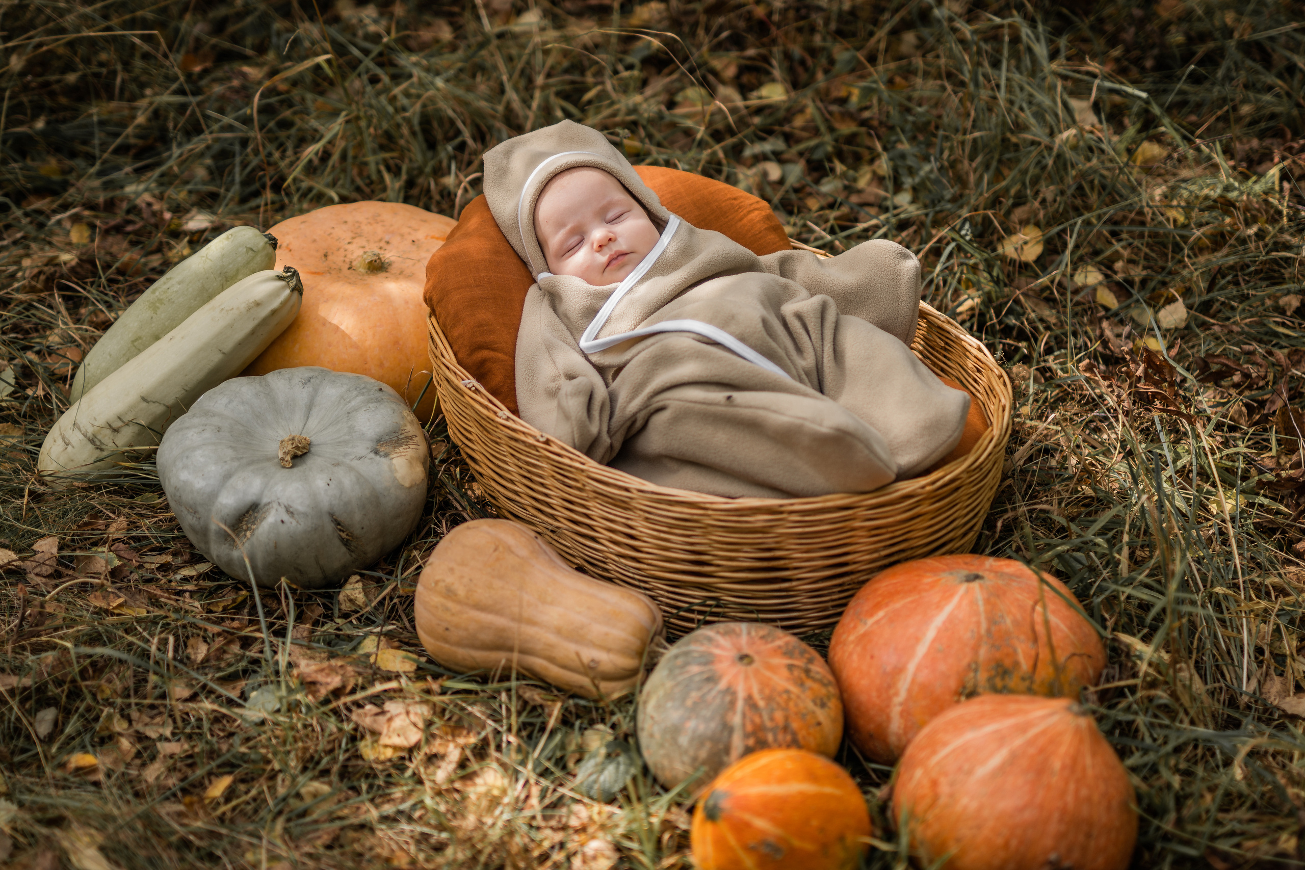 Овощная история. Семейный фотограф Ефремова Виктория