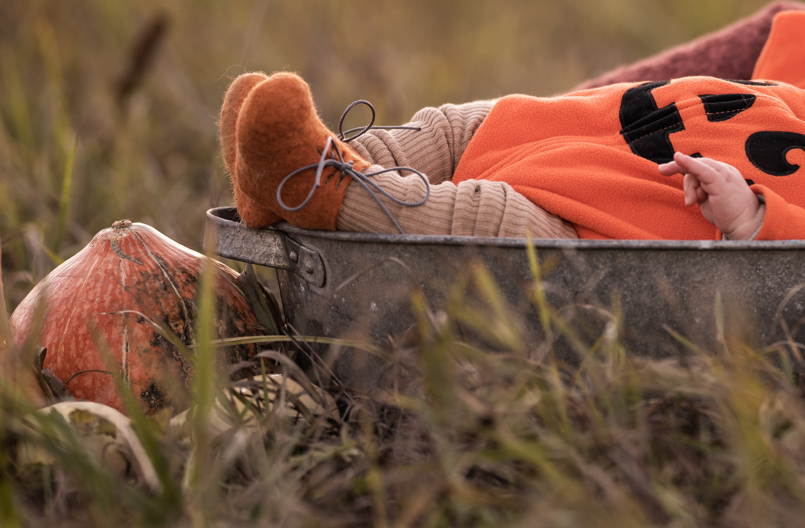 Halloween 2022. Семейный фотограф Ефремова Виктория