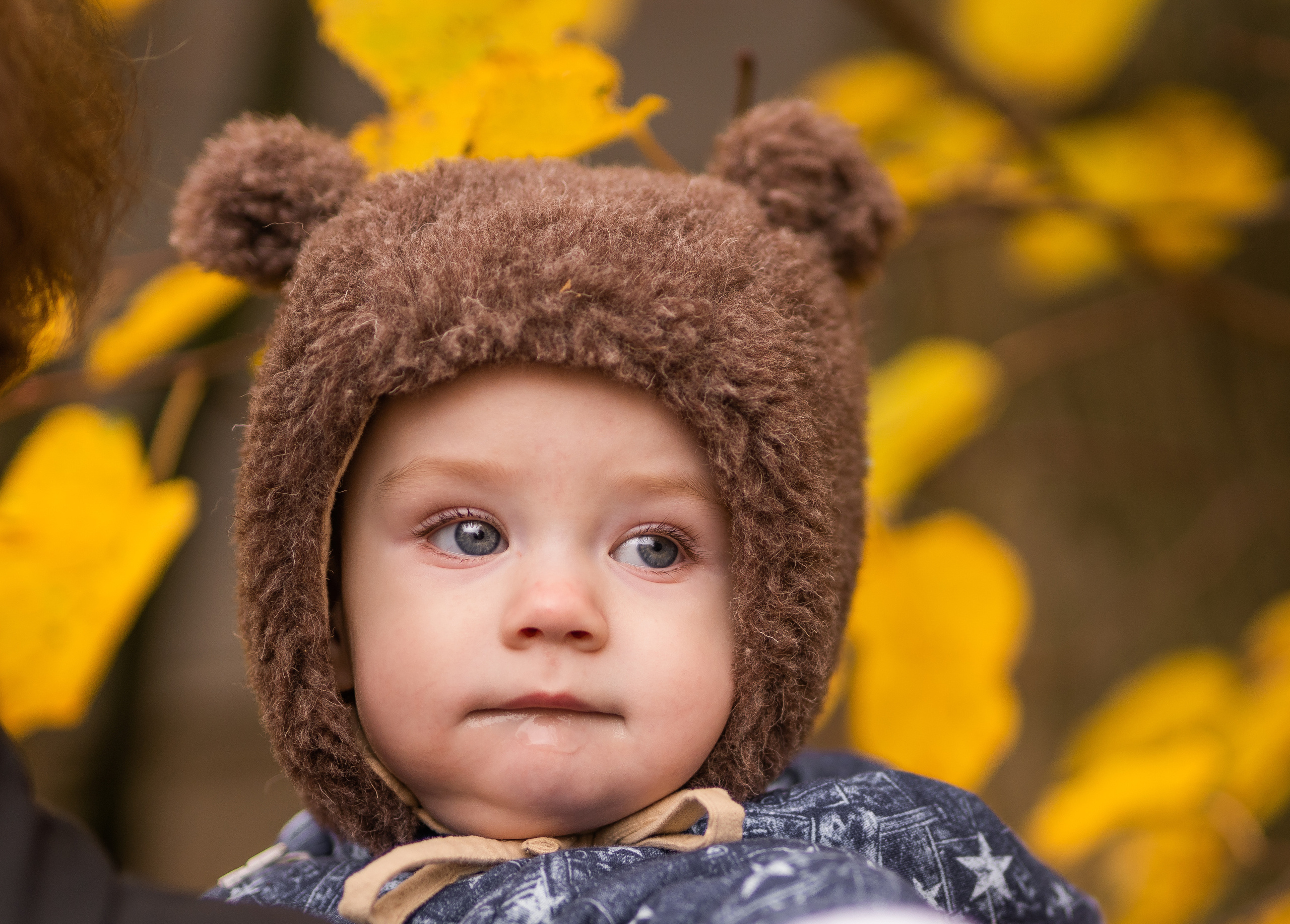 Танюша, Юлия и Феликс. Семейный фотограф Ефремова Виктория