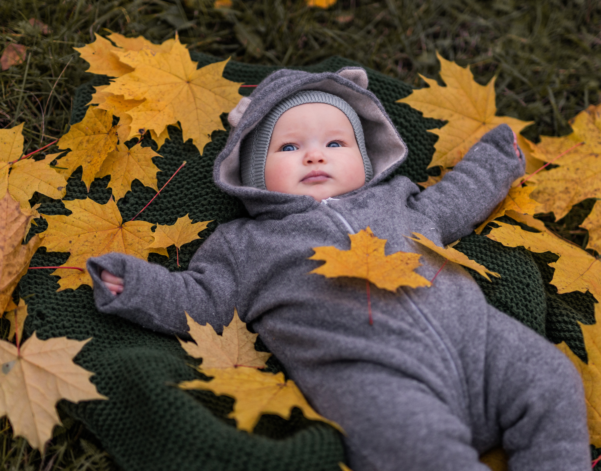 Гномы. Семейный фотограф Ефремова Виктория