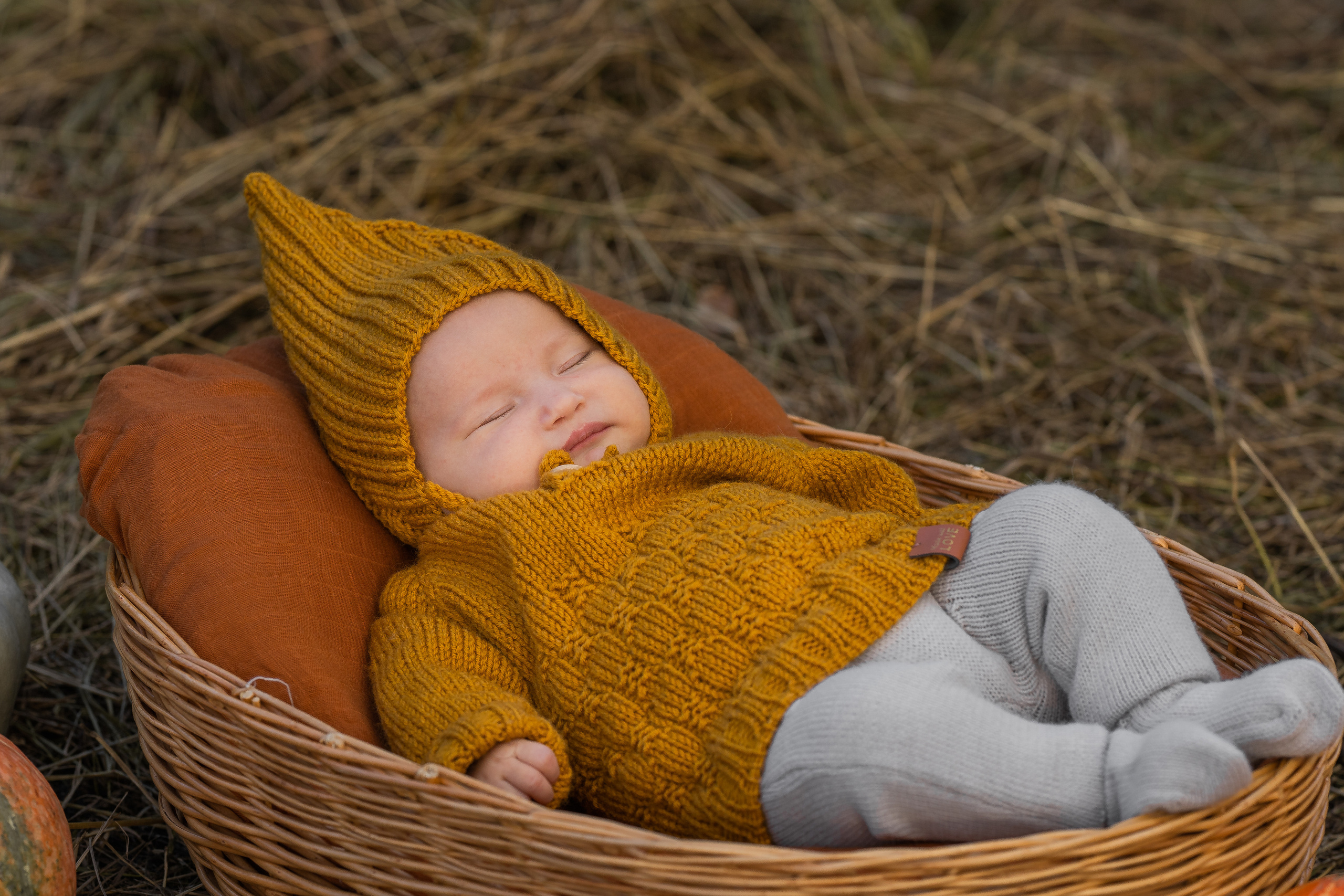 Марфа, тыквы, сентябрь. Семейный фотограф Ефремова Виктория