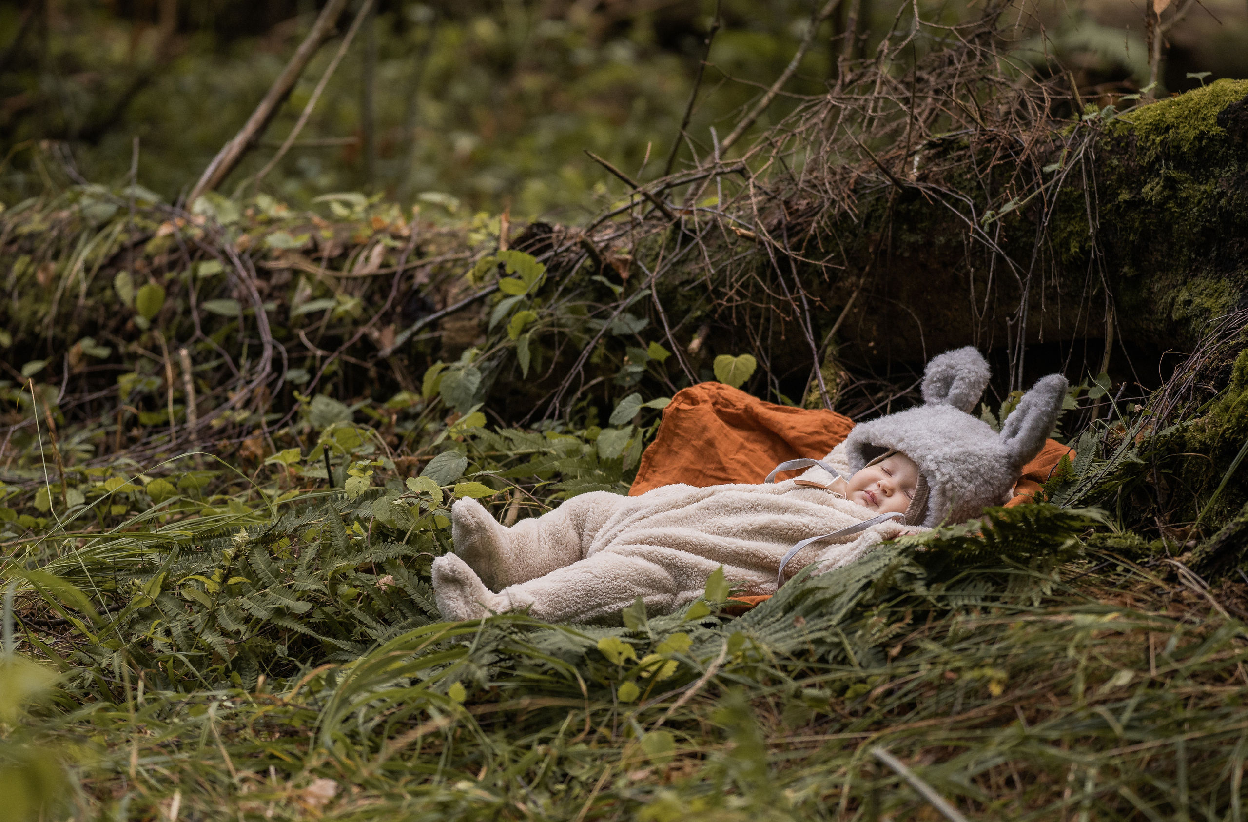 Лесные зайцы. Семейный фотограф Ефремова Виктория