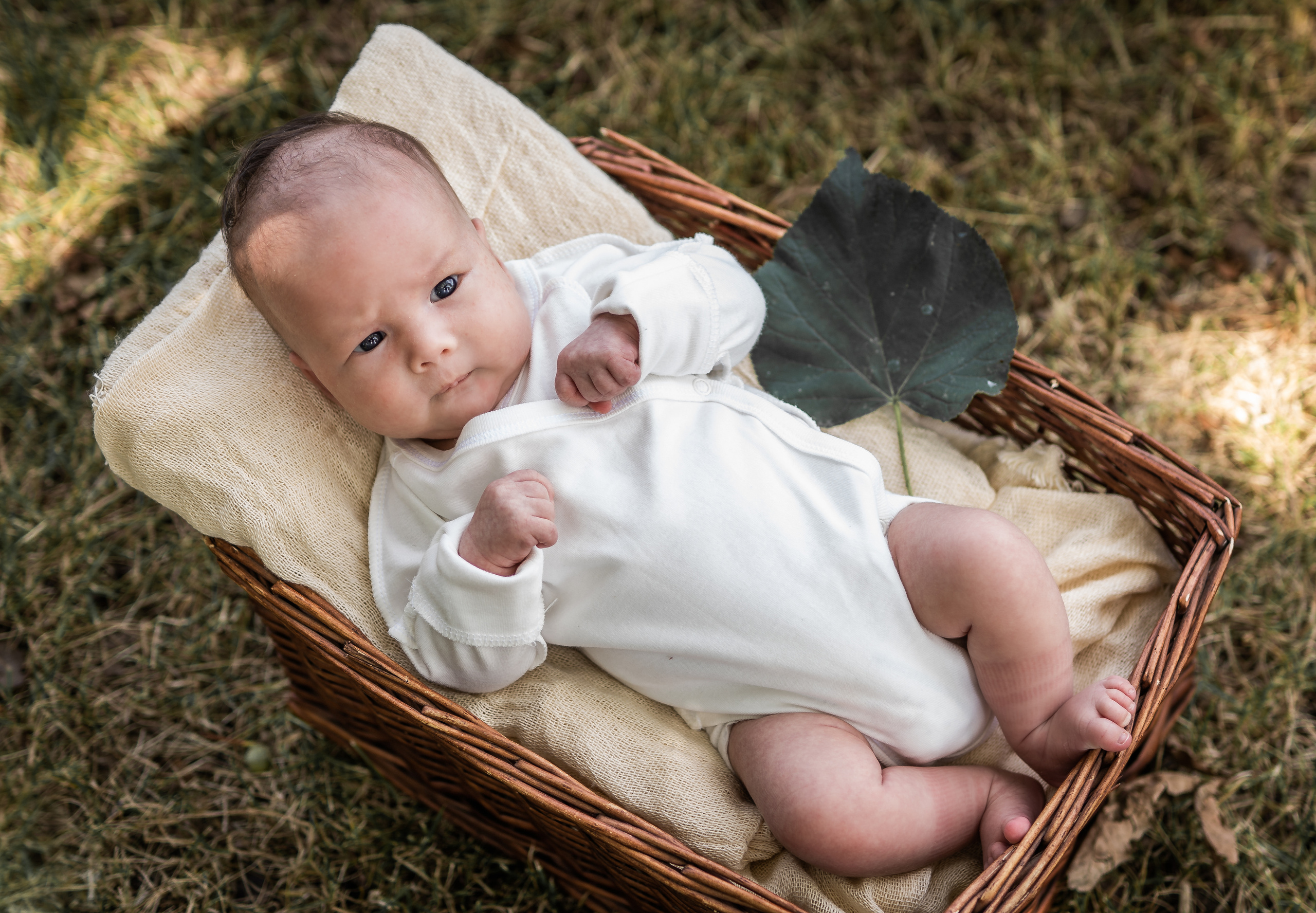 Малышатник). Семейный фотограф Ефремова Виктория