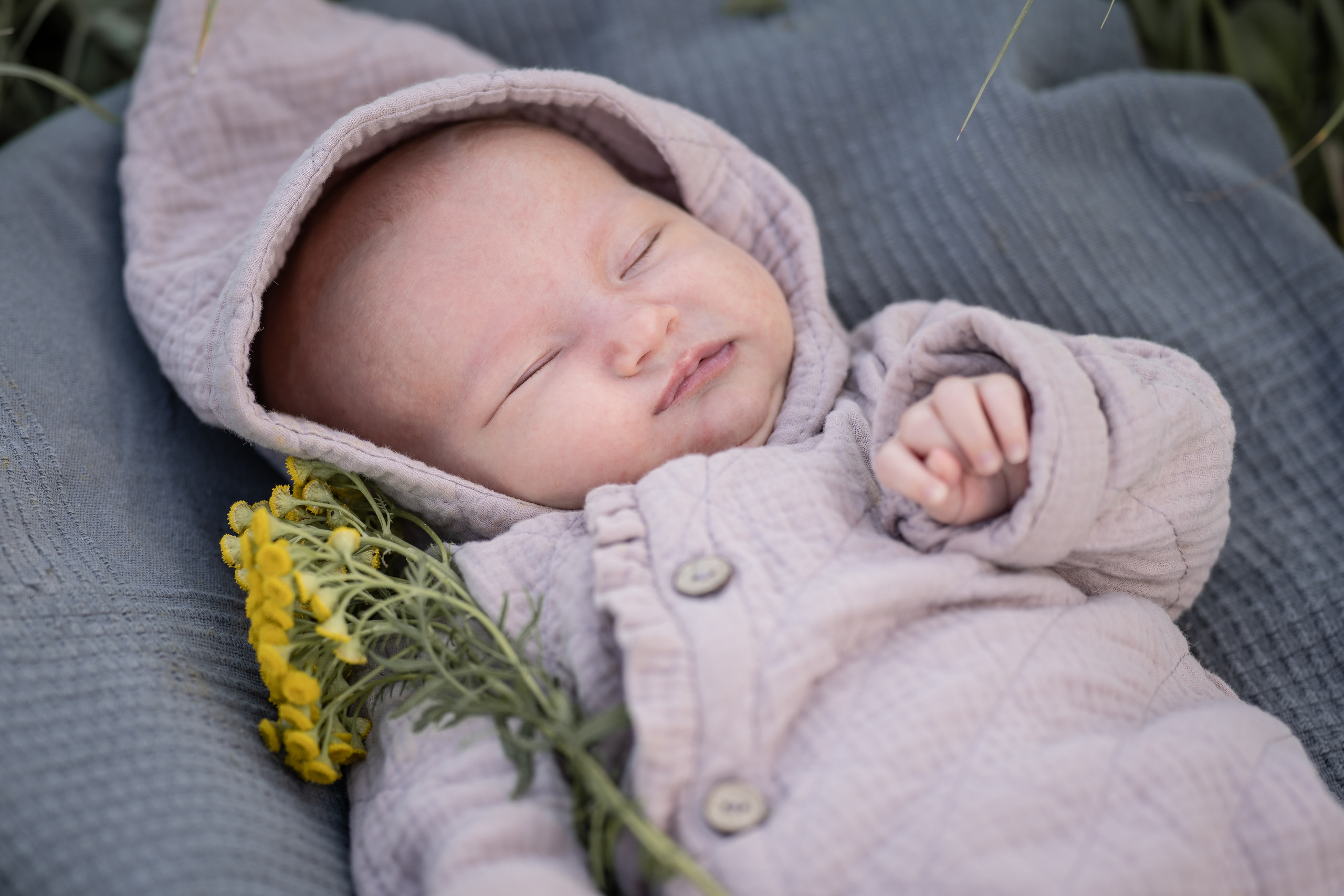 Марфа 6 недель. Семейный фотограф Ефремова Виктория