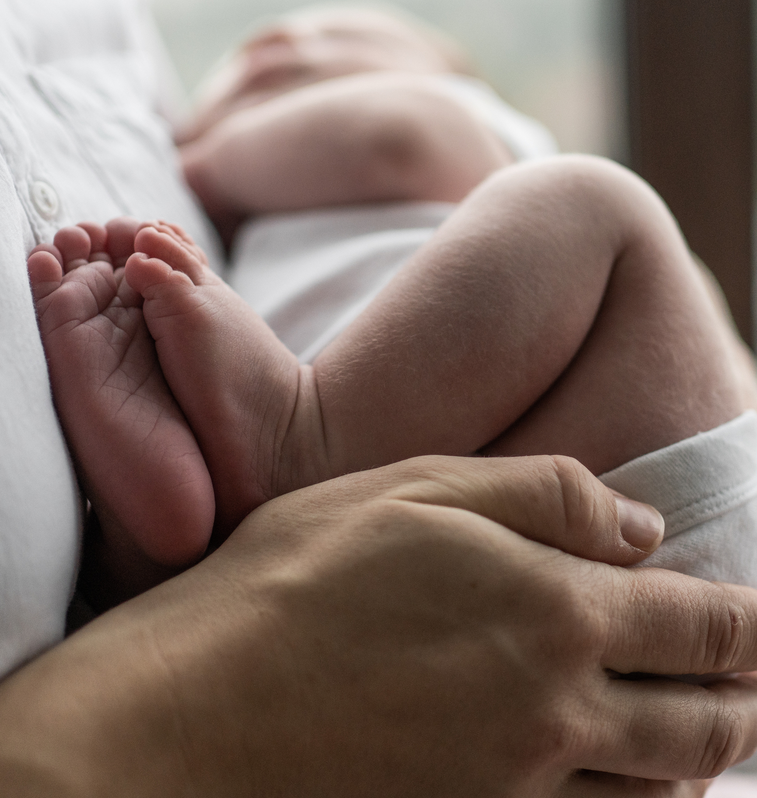 Лёва. Семейный фотограф Ефремова Виктория