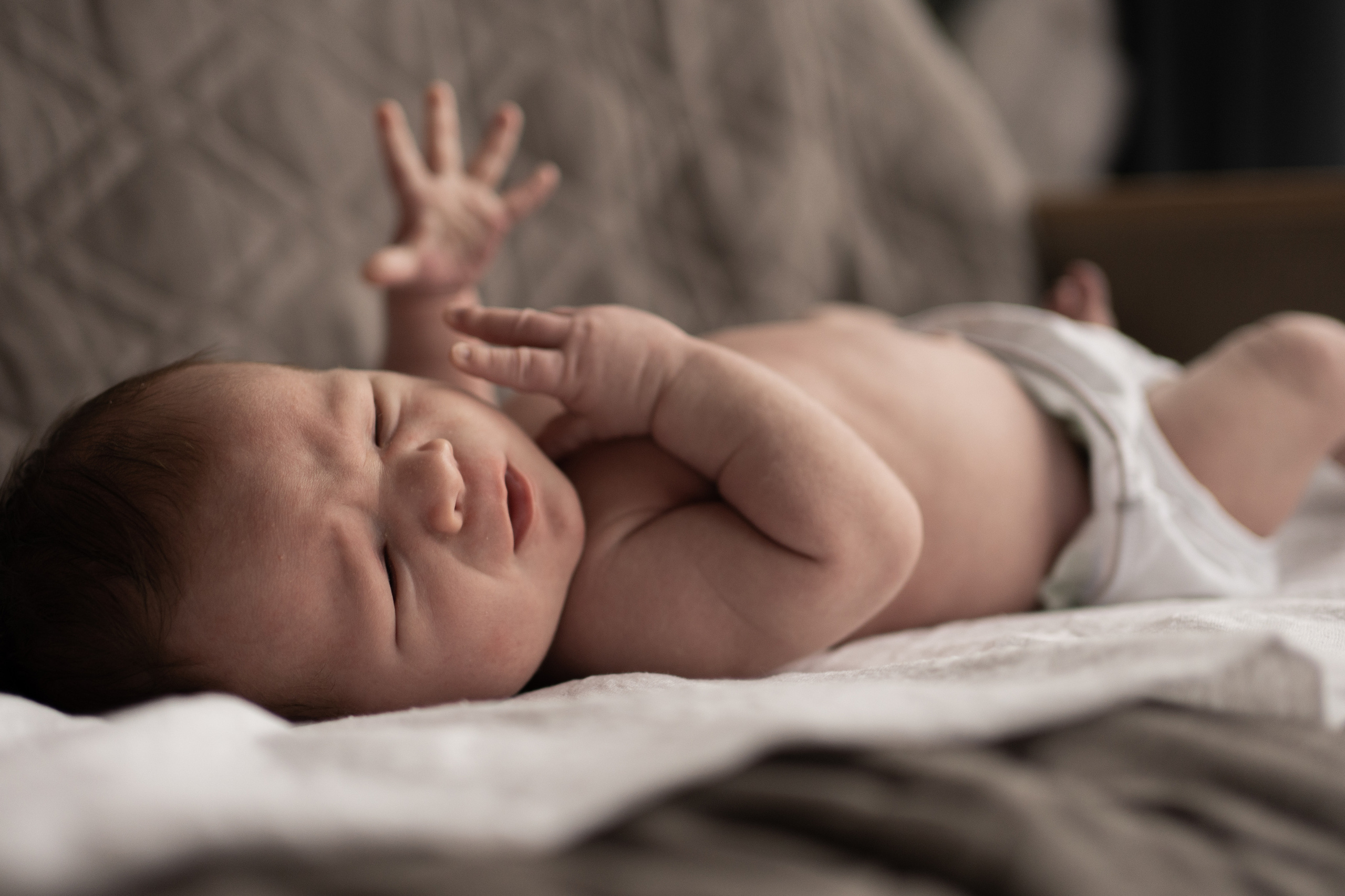 Лёва. Семейный фотограф Ефремова Виктория