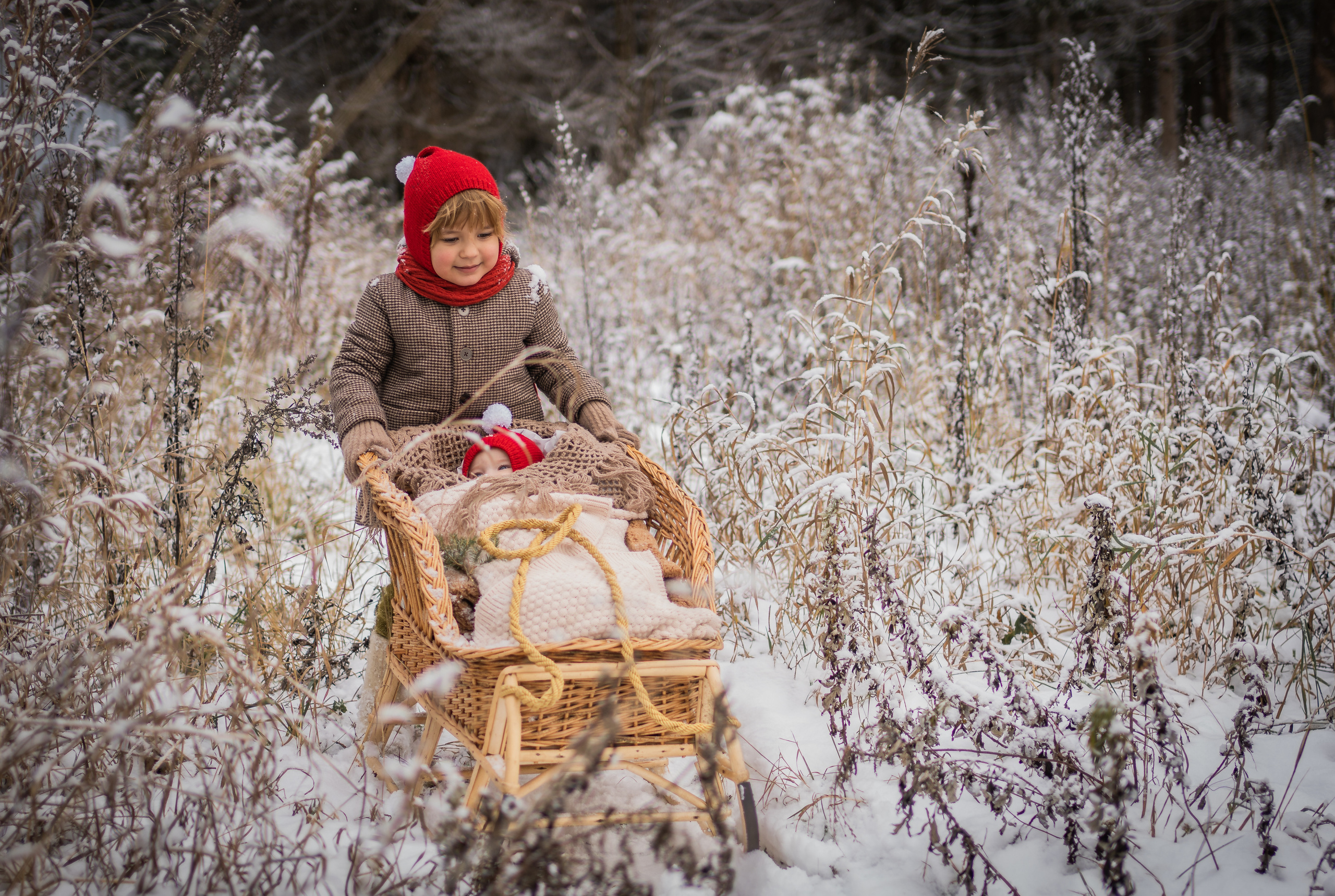 Снежная прогулка Савелия и Марфы. Семейный фотограф Ефремова Виктория