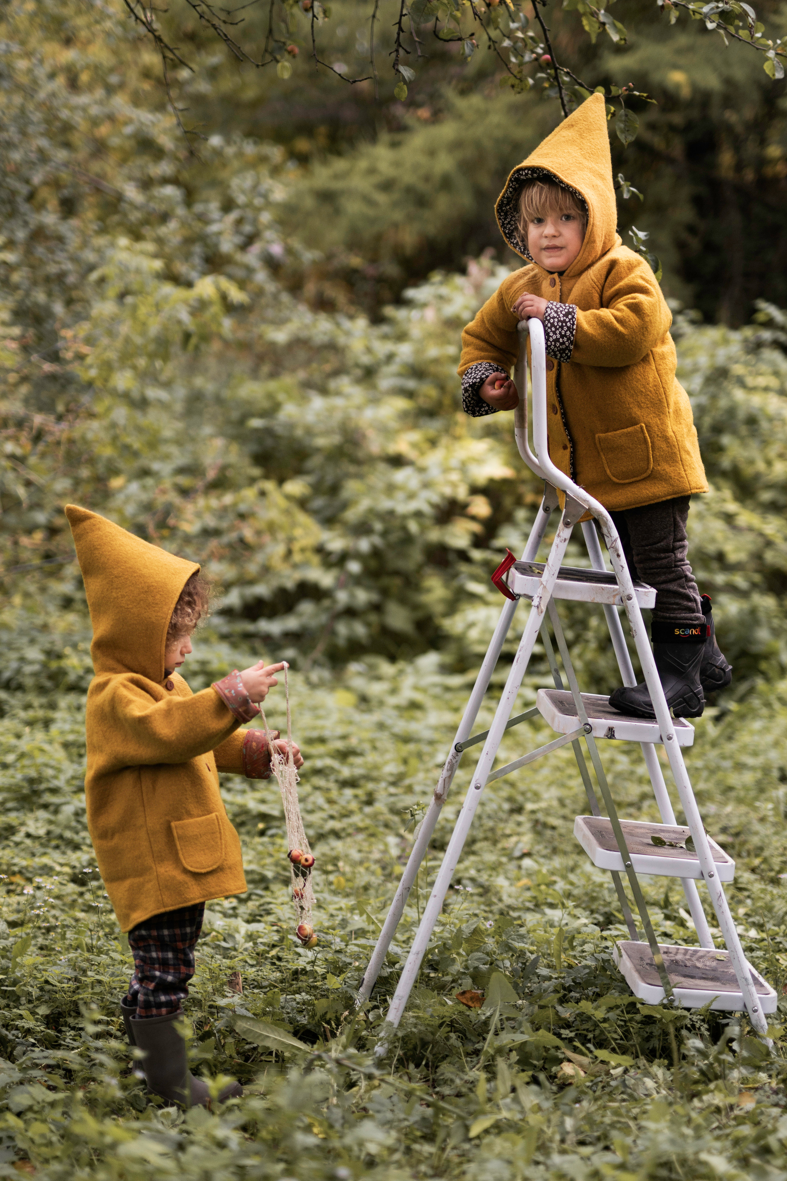 Гномы. Семейный фотограф Ефремова Виктория