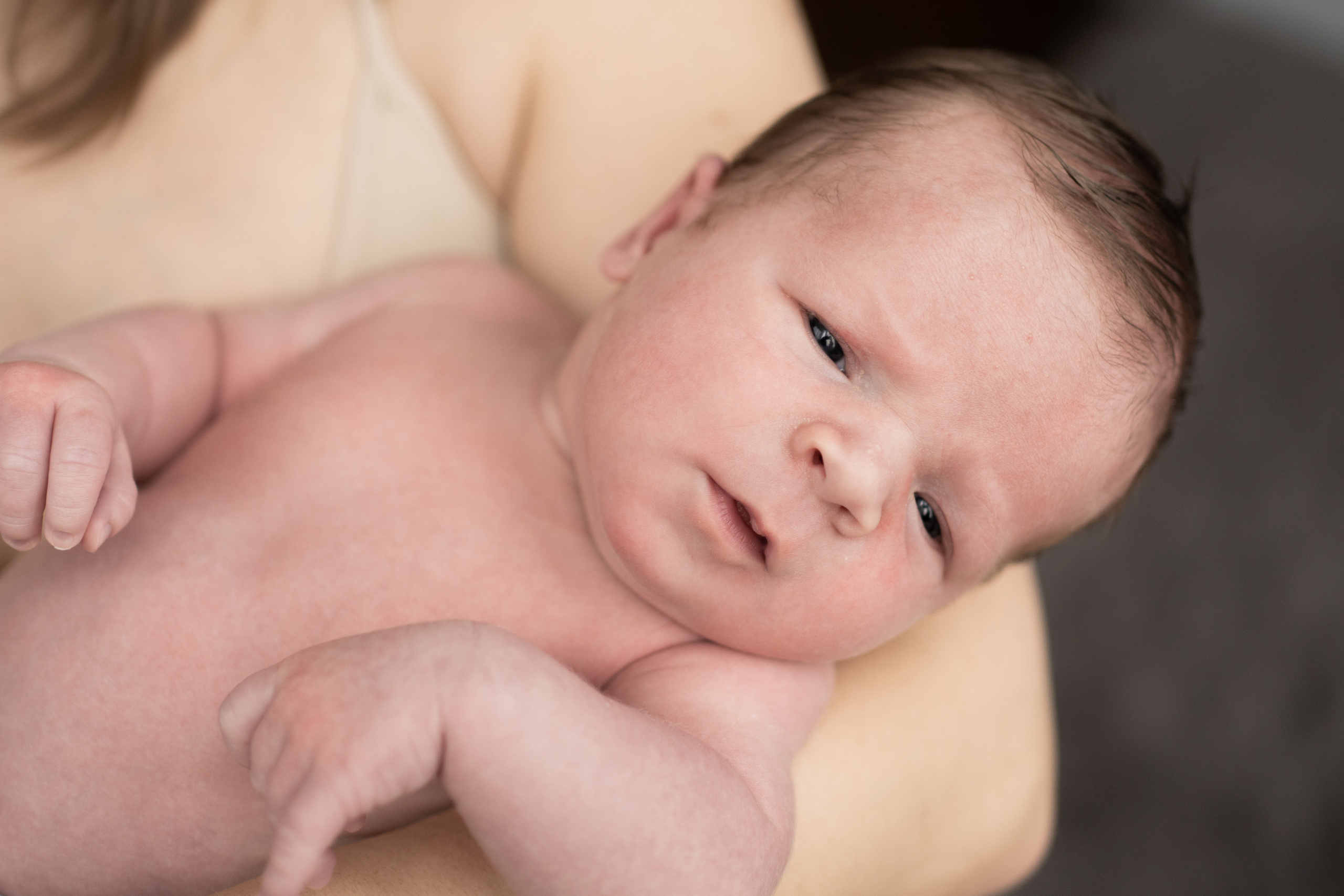 Лёва. Семейный фотограф Ефремова Виктория