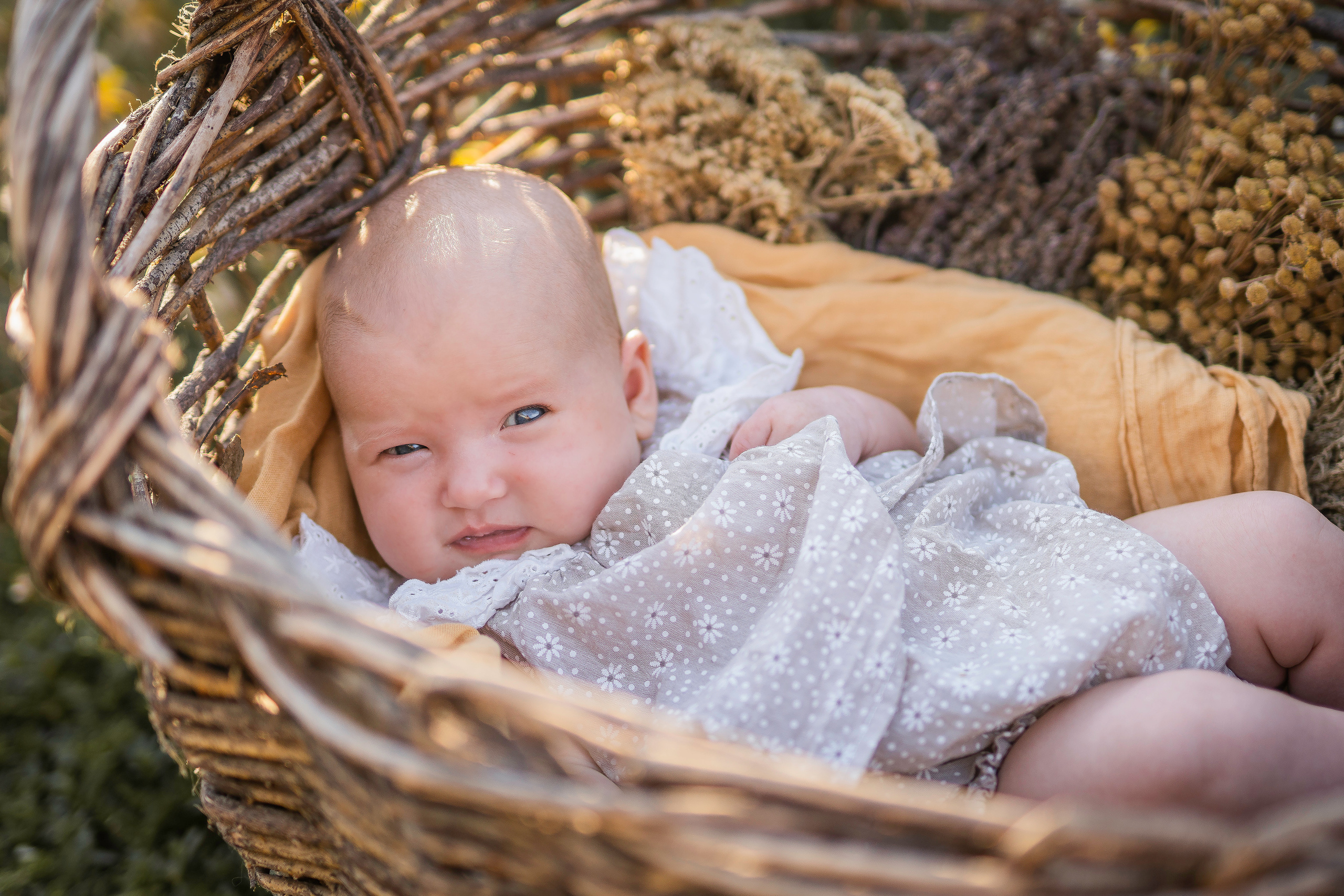 Должанская, август 2022. Семейный фотограф Ефремова Виктория