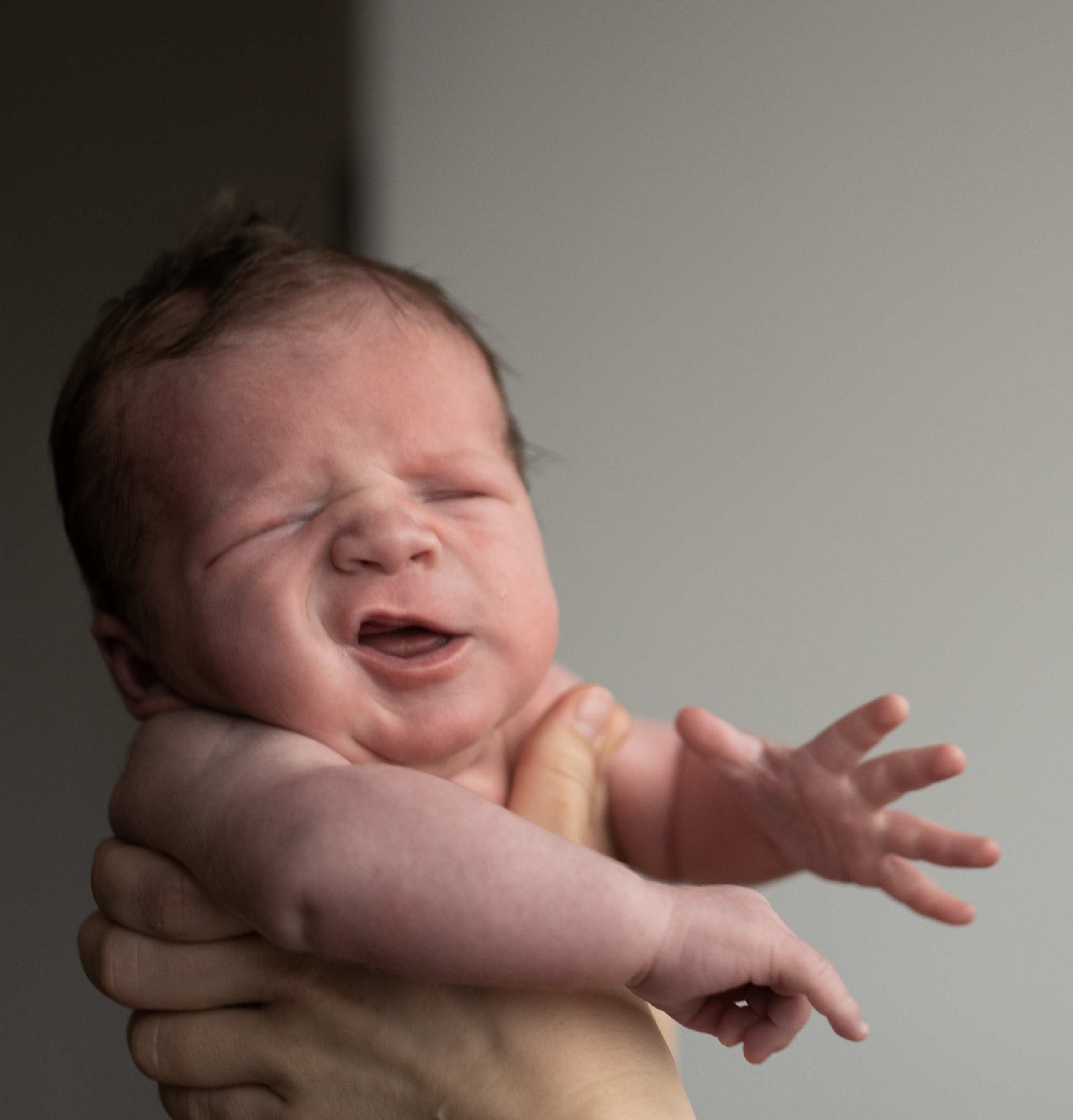 Лёва. Семейный фотограф Ефремова Виктория