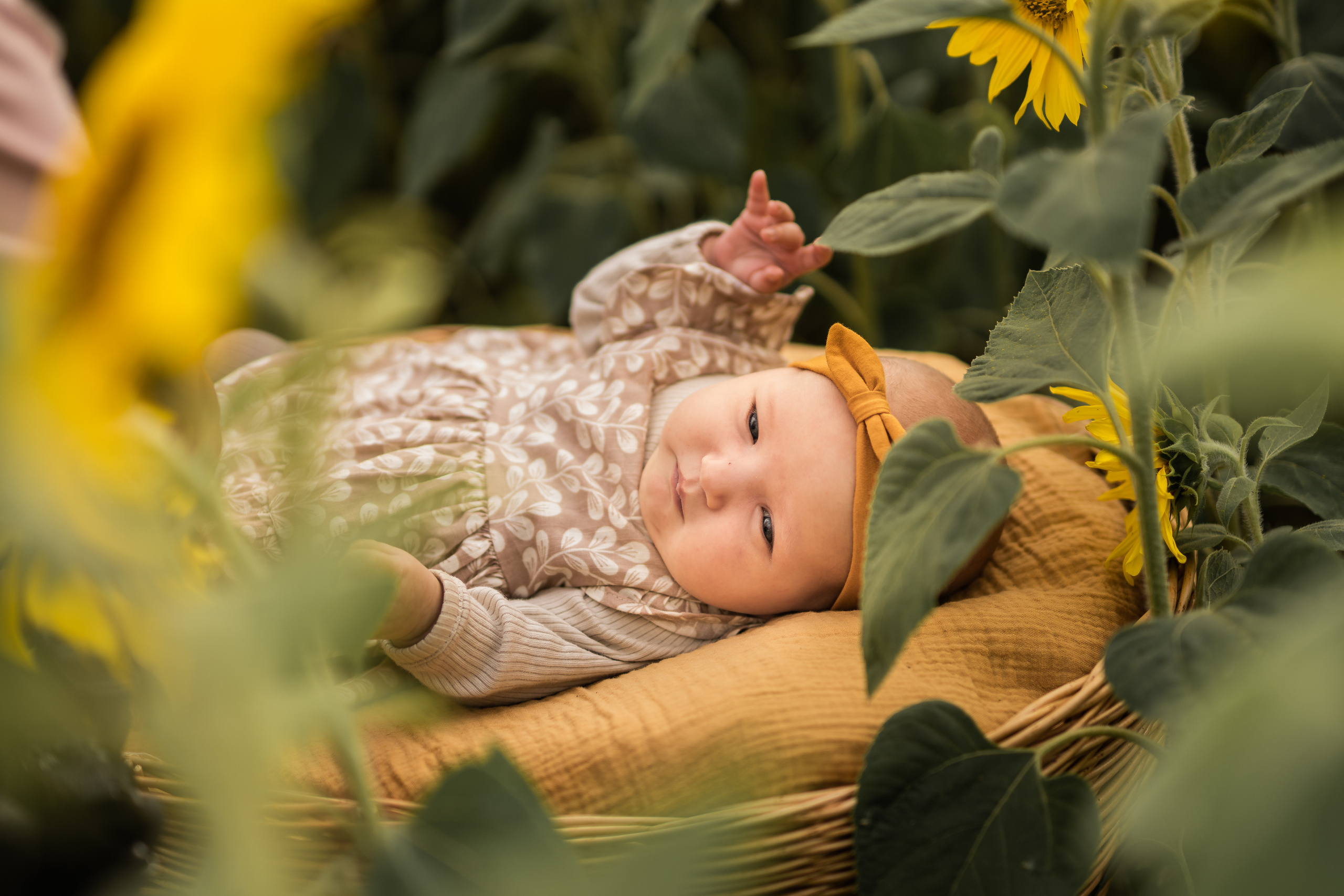 Дети в поле. Семейный фотограф Ефремова Виктория