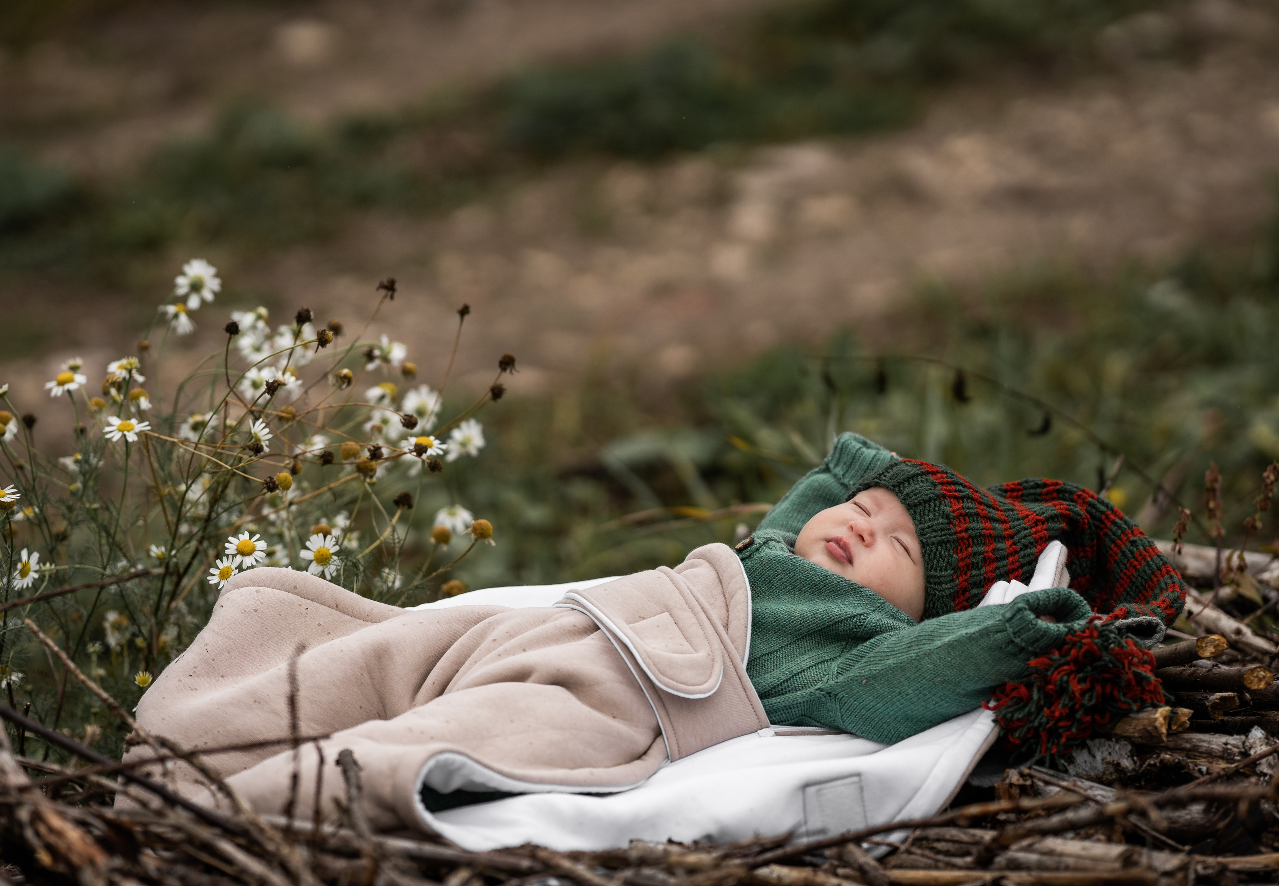 Марфа, тыквы, сентябрь. Семейный фотограф Ефремова Виктория