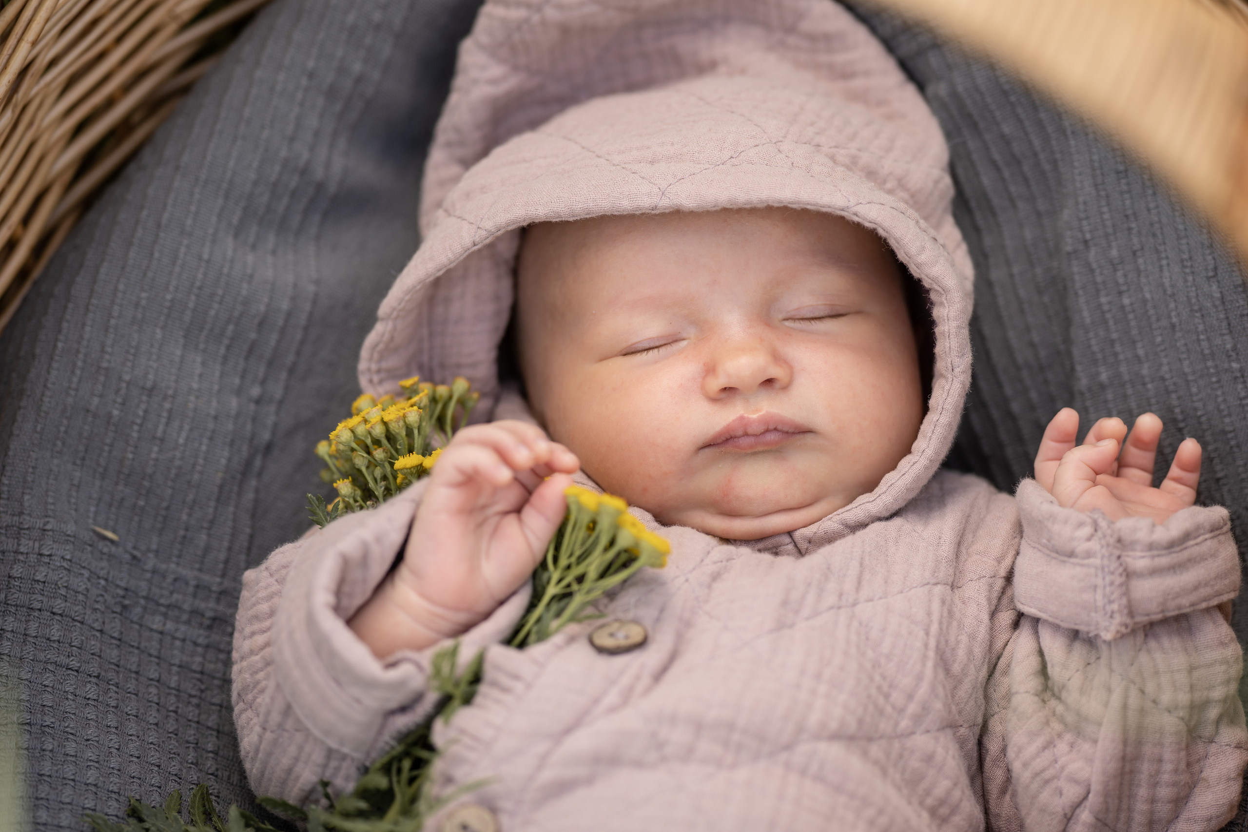 Марфа 6 недель. Семейный фотограф Ефремова Виктория