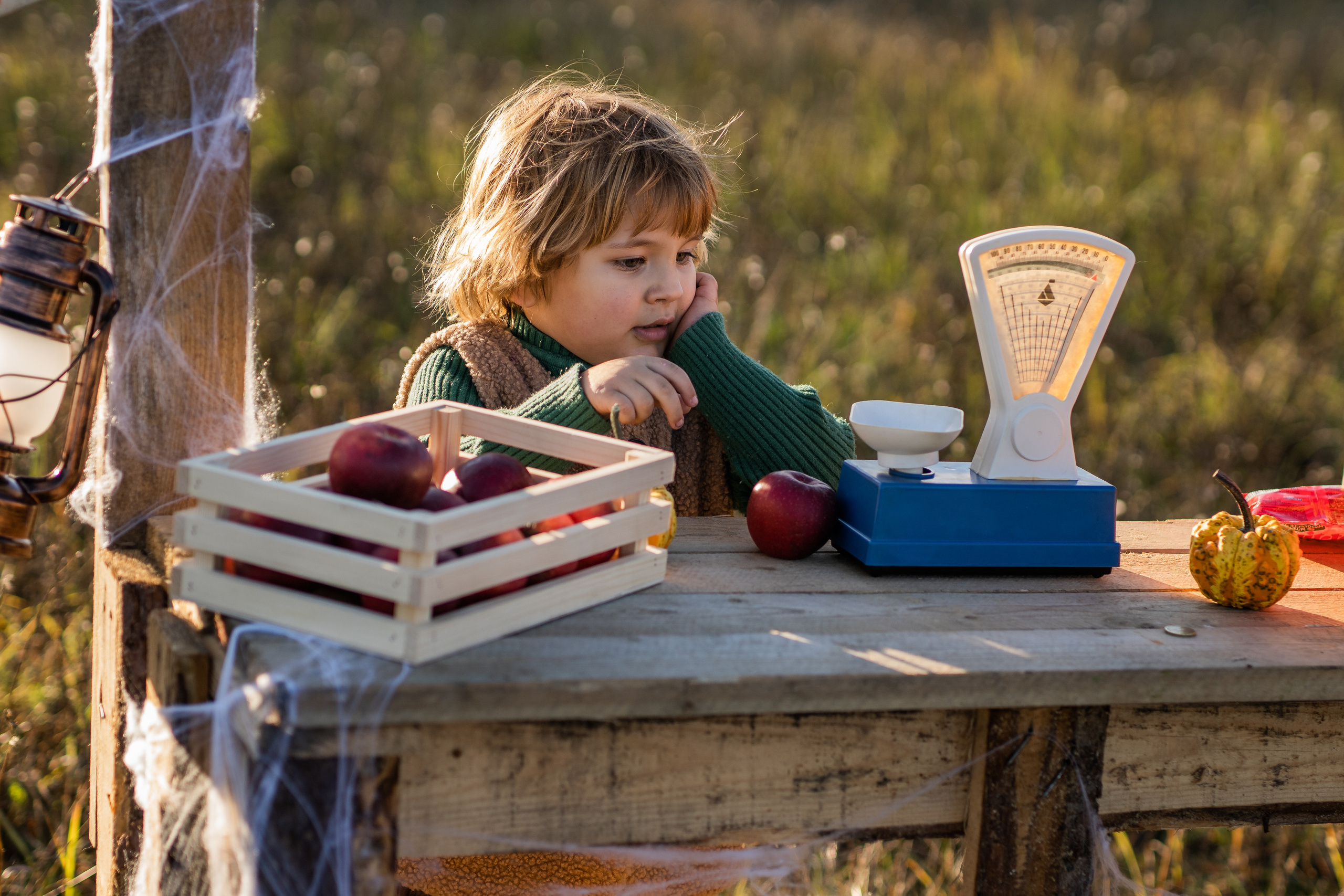 Продавец тыкв. Семейный фотограф Ефремова Виктория