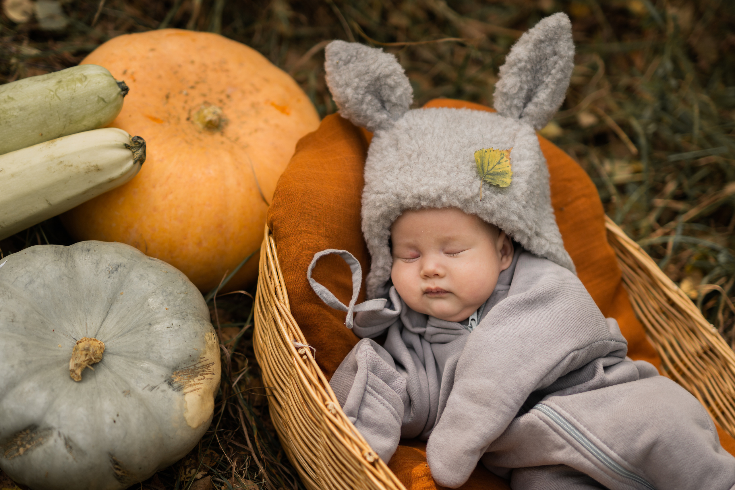 Овощная история. Семейный фотограф Ефремова Виктория