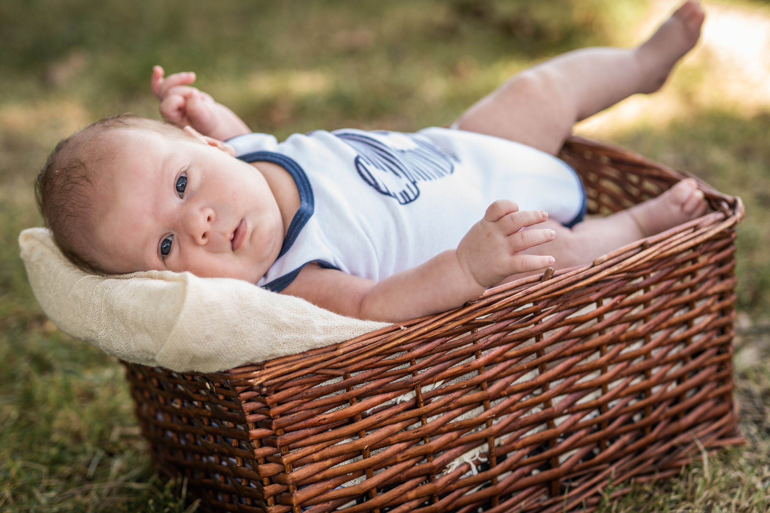 Малышатник). Семейный фотограф Ефремова Виктория
