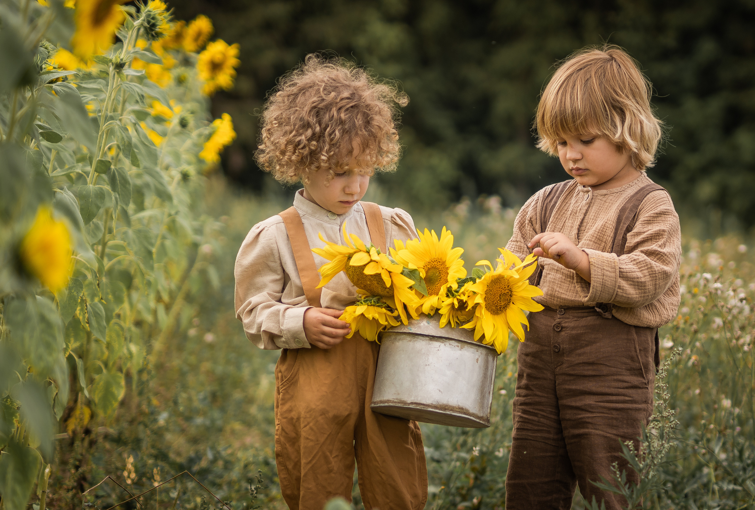Дети в поле. Семейный фотограф Ефремова Виктория