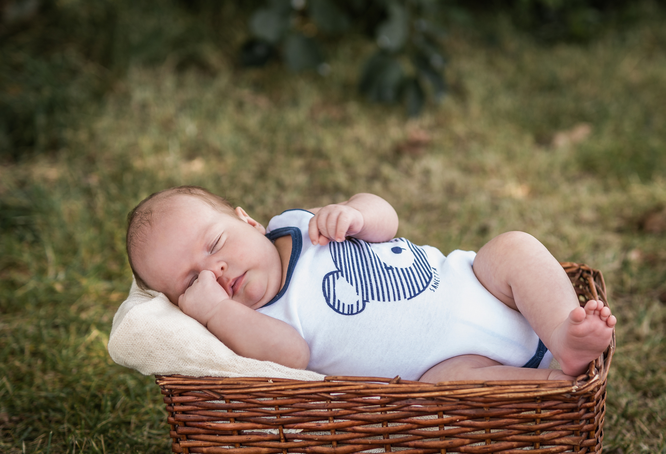 Малышатник). Семейный фотограф Ефремова Виктория