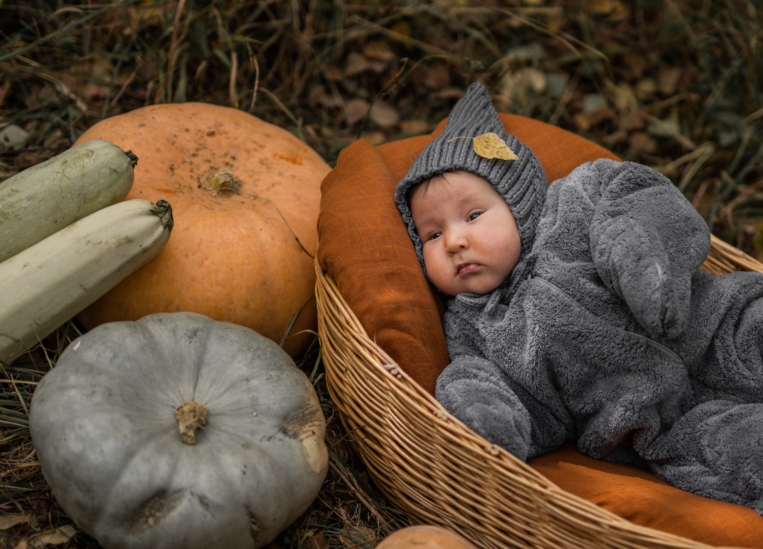 Овощная история. Семейный фотограф Ефремова Виктория