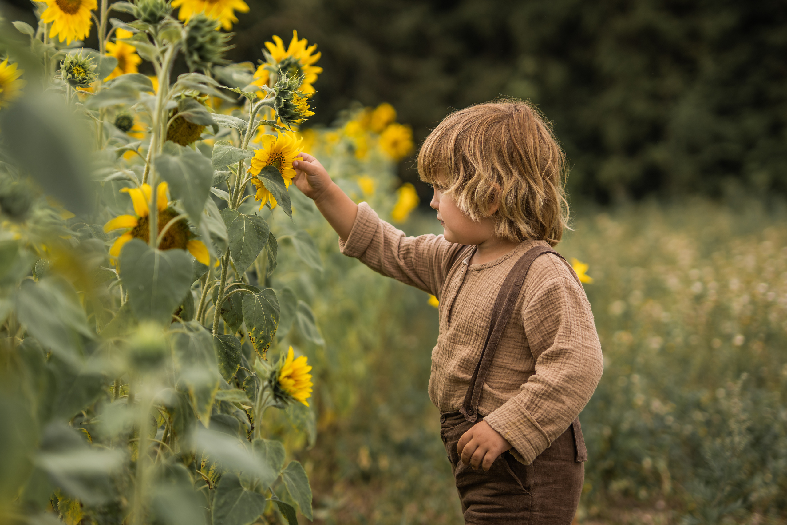 Дети в поле. Семейный фотограф Ефремова Виктория